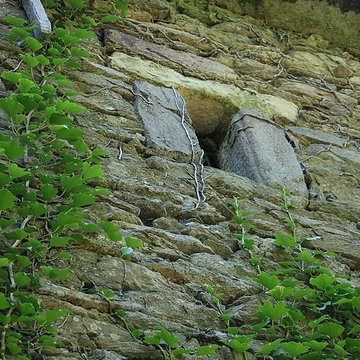 Chapelle Saint-Clair de Verdun à Quins
