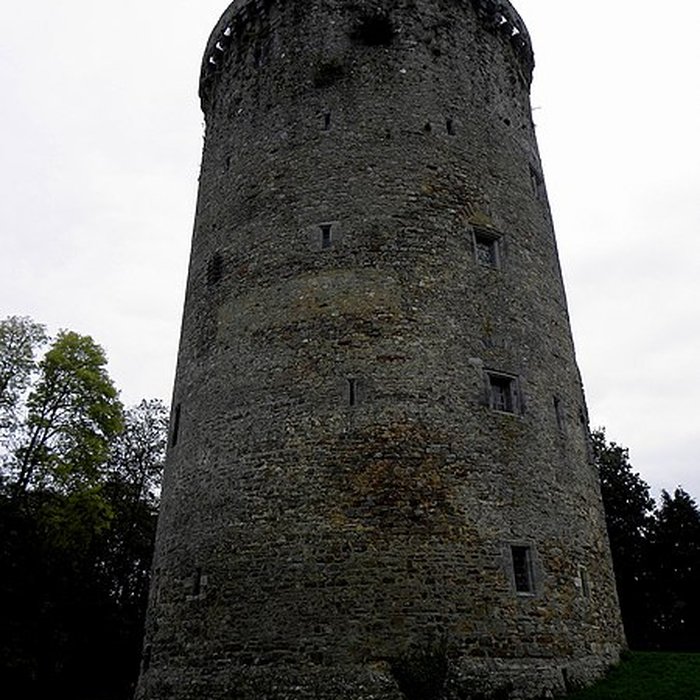 Photo de Château de Grand-Fougeray