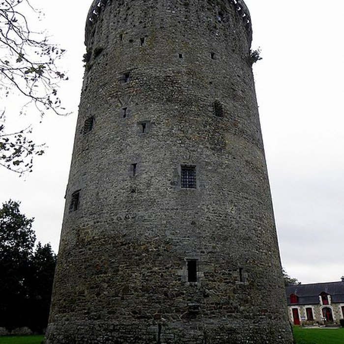 Photo de Château de Grand-Fougeray