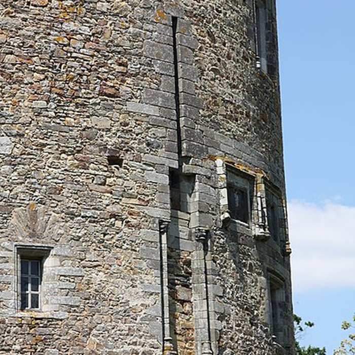 Photo de Château de Grand-Fougeray