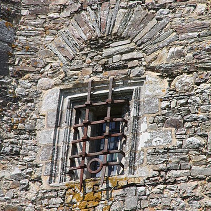 Photo de Château de Grand-Fougeray