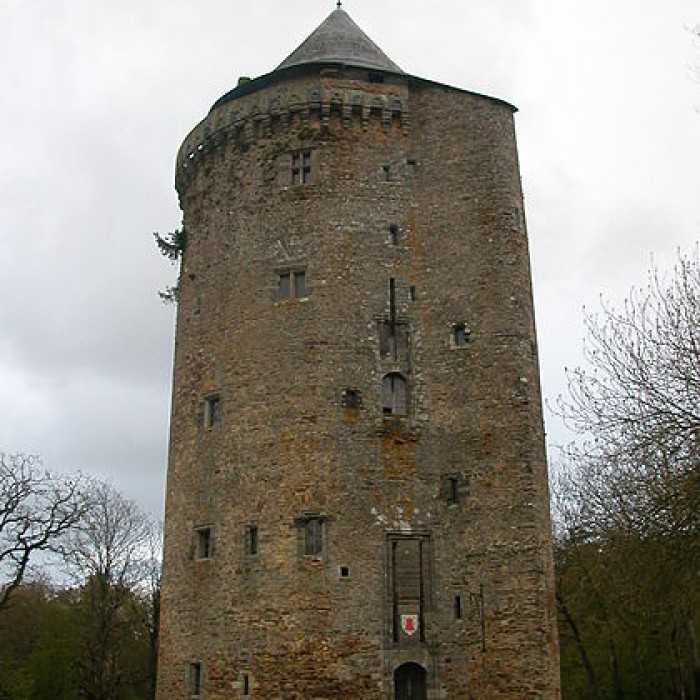 Photo de Château de Grand-Fougeray