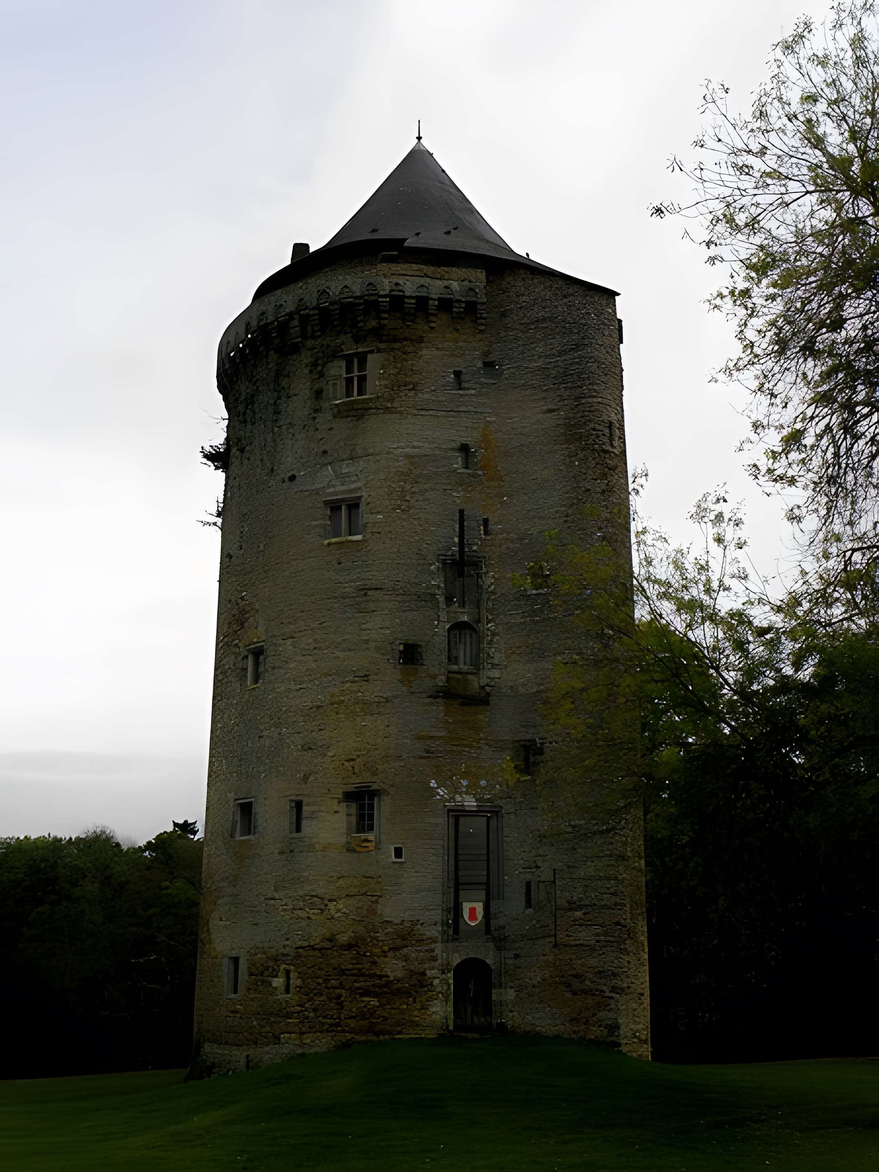 Château de Grand-Fougeray