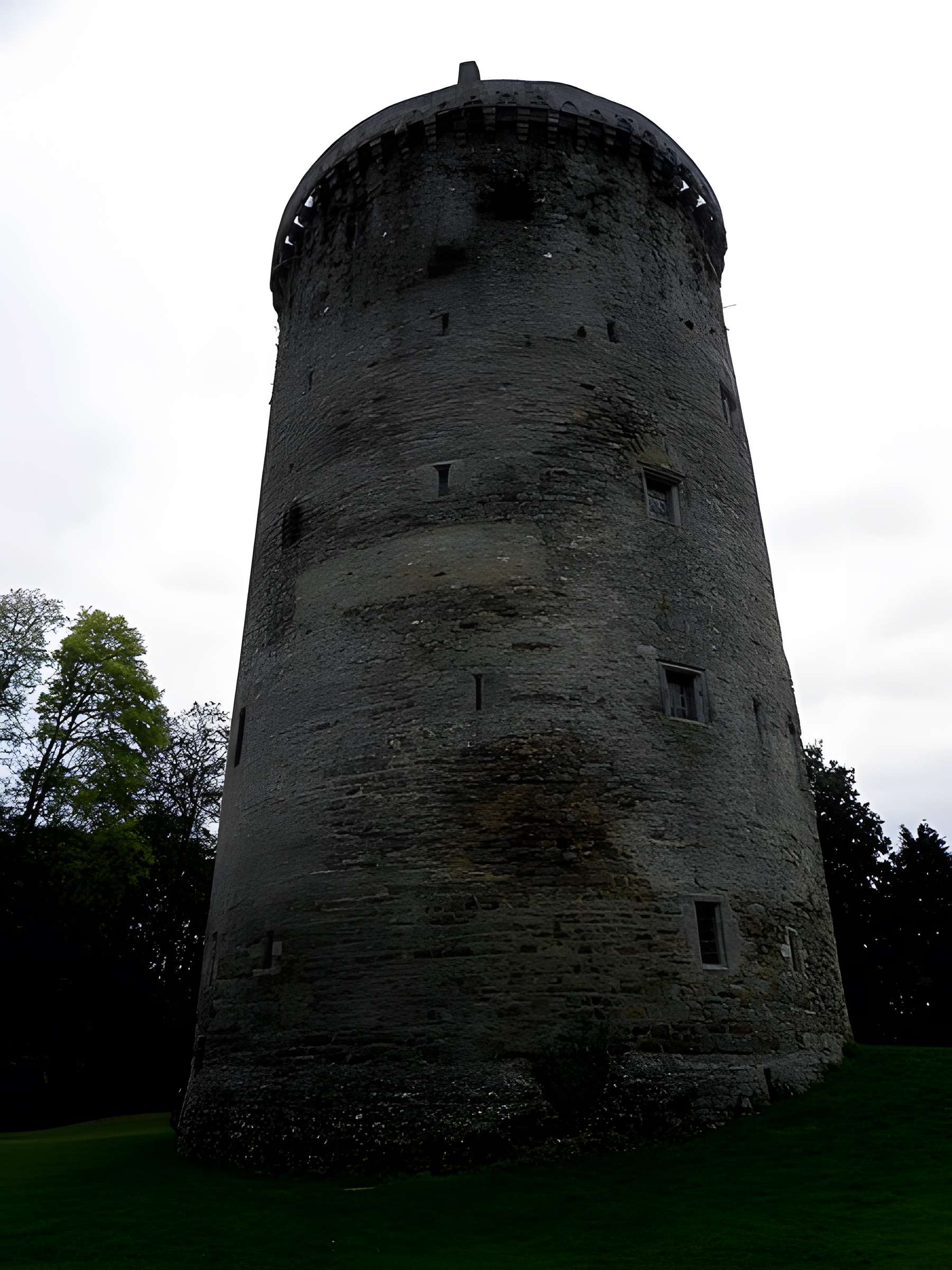 Château de Grand-Fougeray