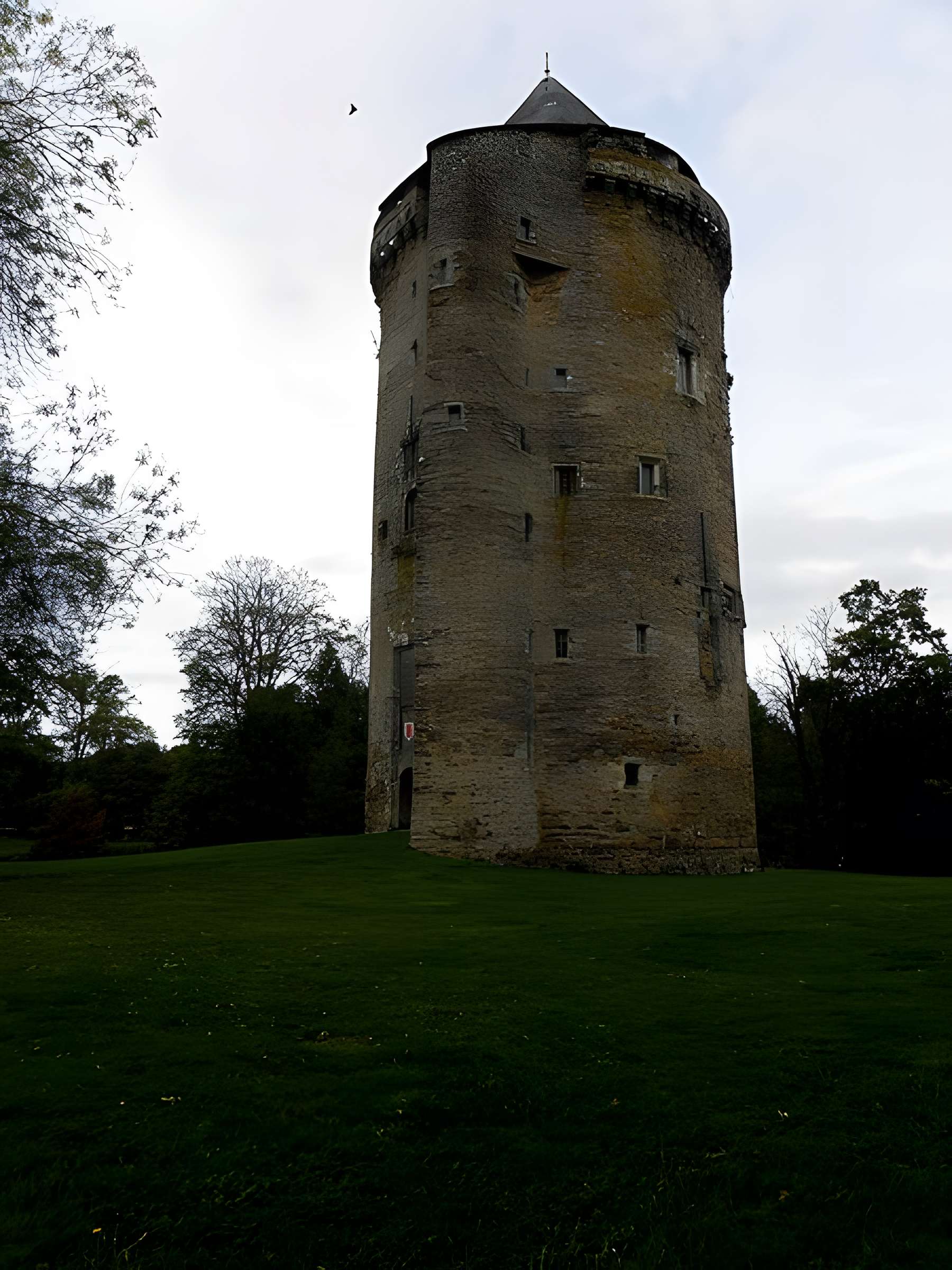 Château de Grand-Fougeray