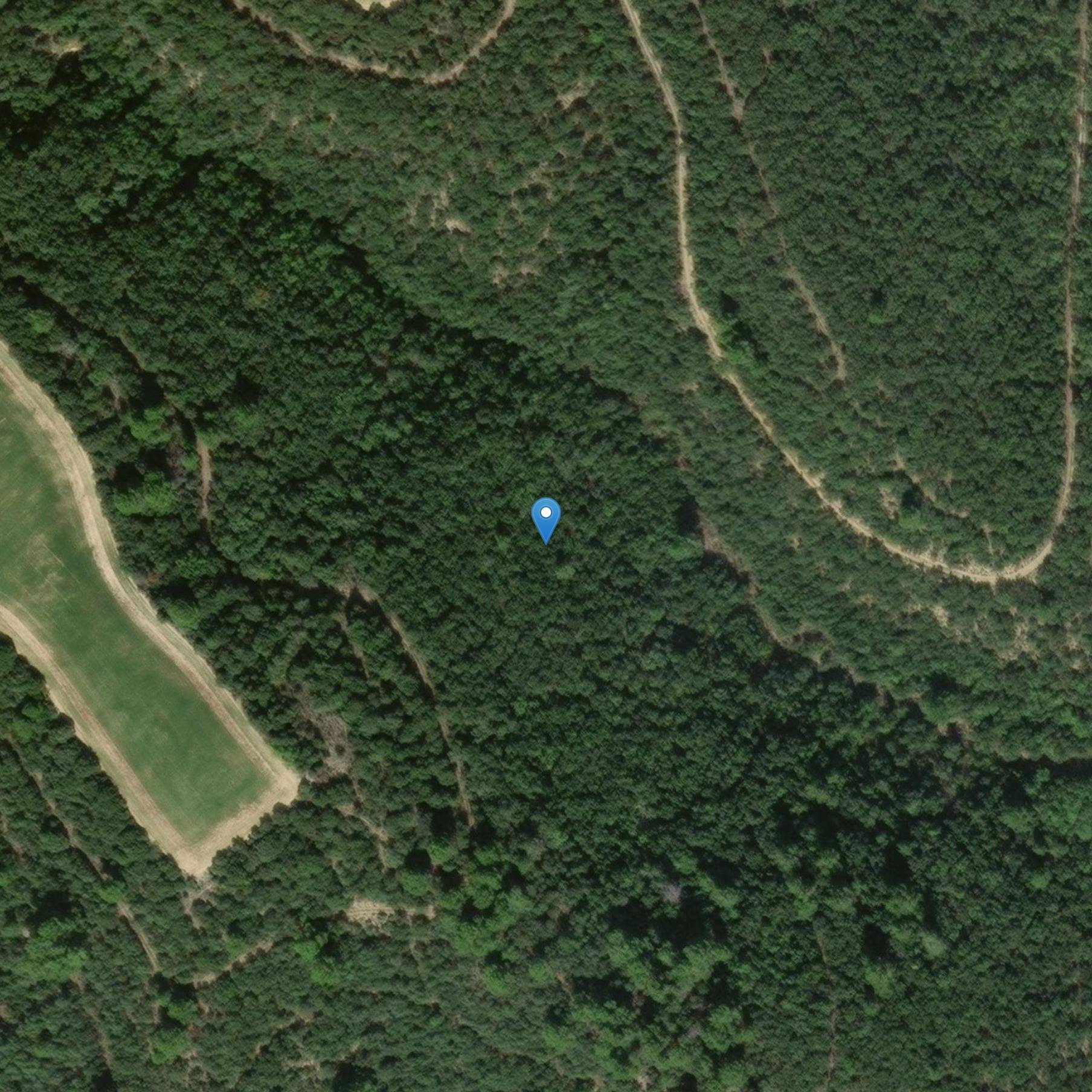 Photo de 圣皮埃尔-莱昂斯-德莫莱盖斯