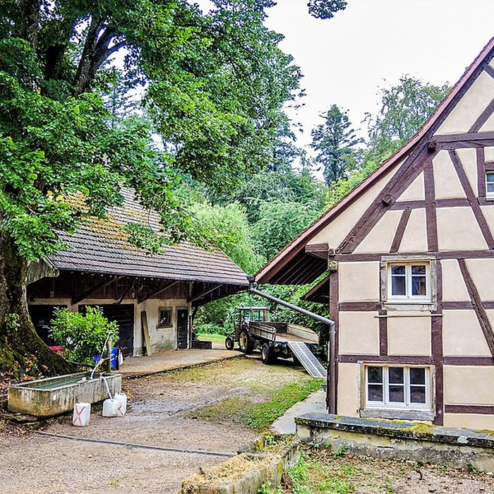 Photo de Chapelle Saint-Martin dOltingue