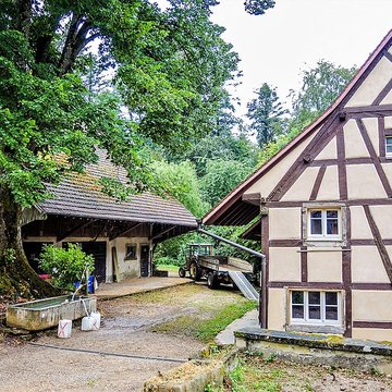 Chapelle Saint-Martin dOltingue