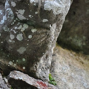 Chapelle Saint-Michel de Lestre