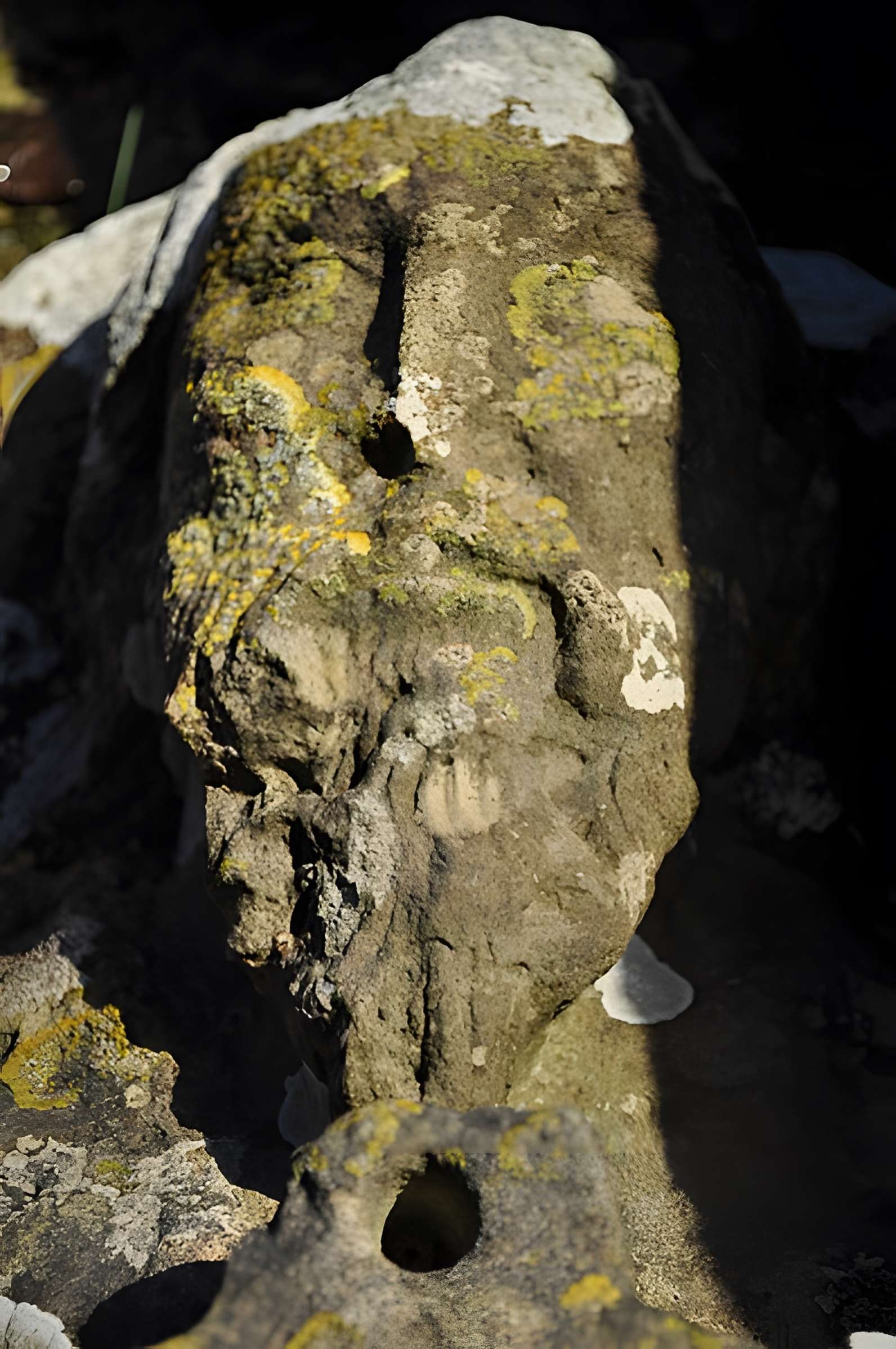 Chapelle Saint-Michel de Lestre