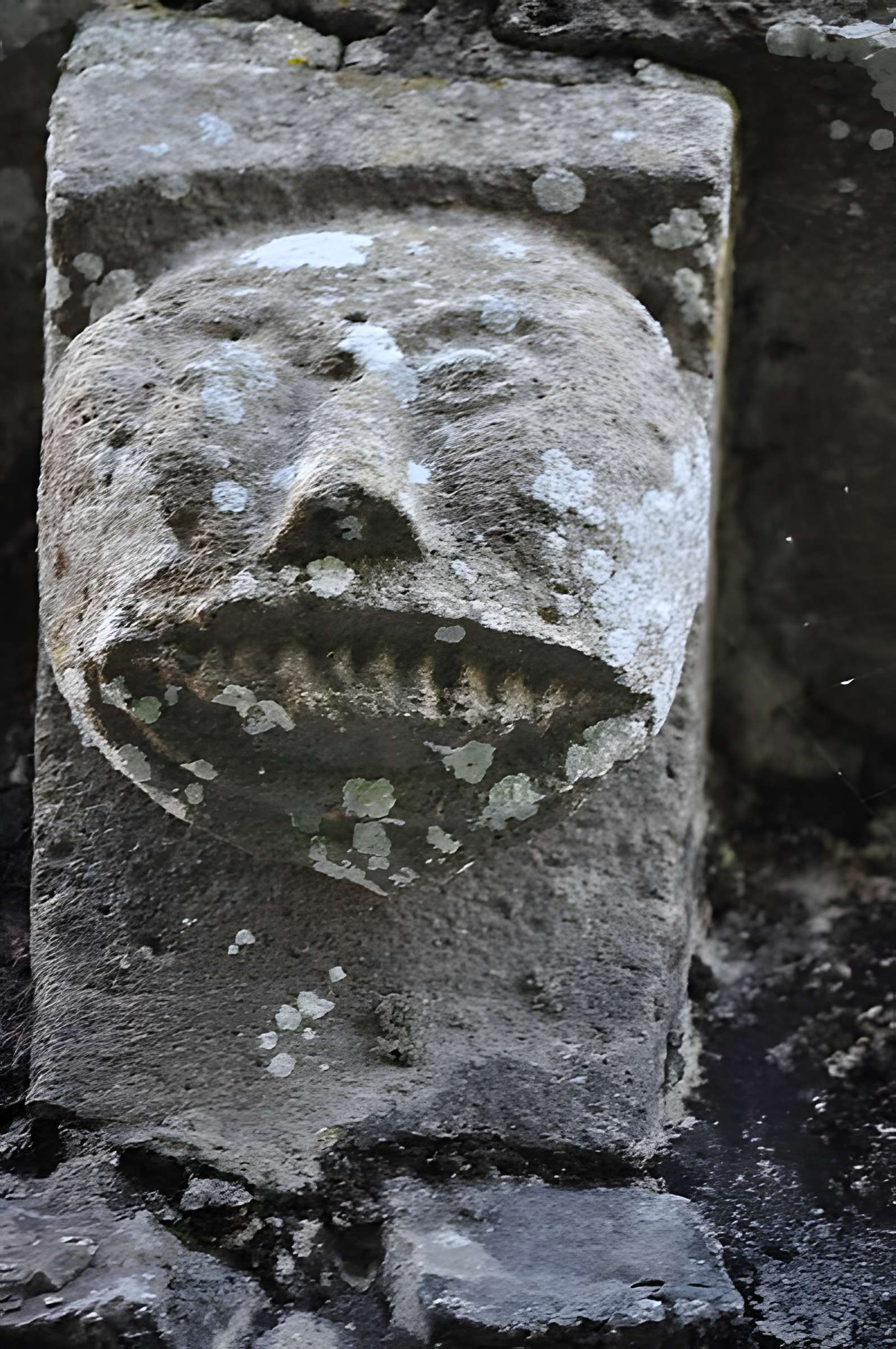 Chapelle Saint-Michel de Lestre