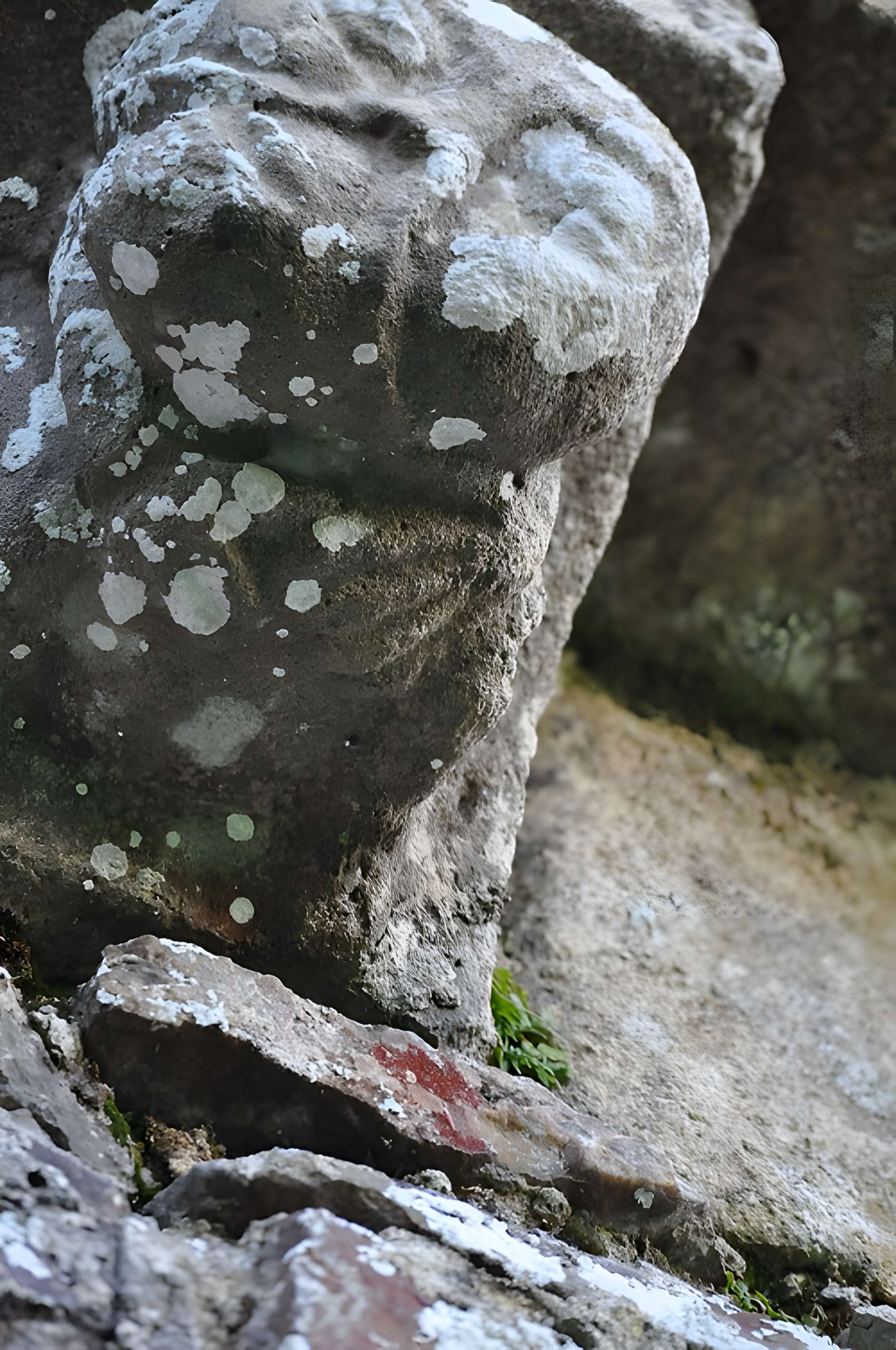 Chapelle Saint-Michel de Lestre