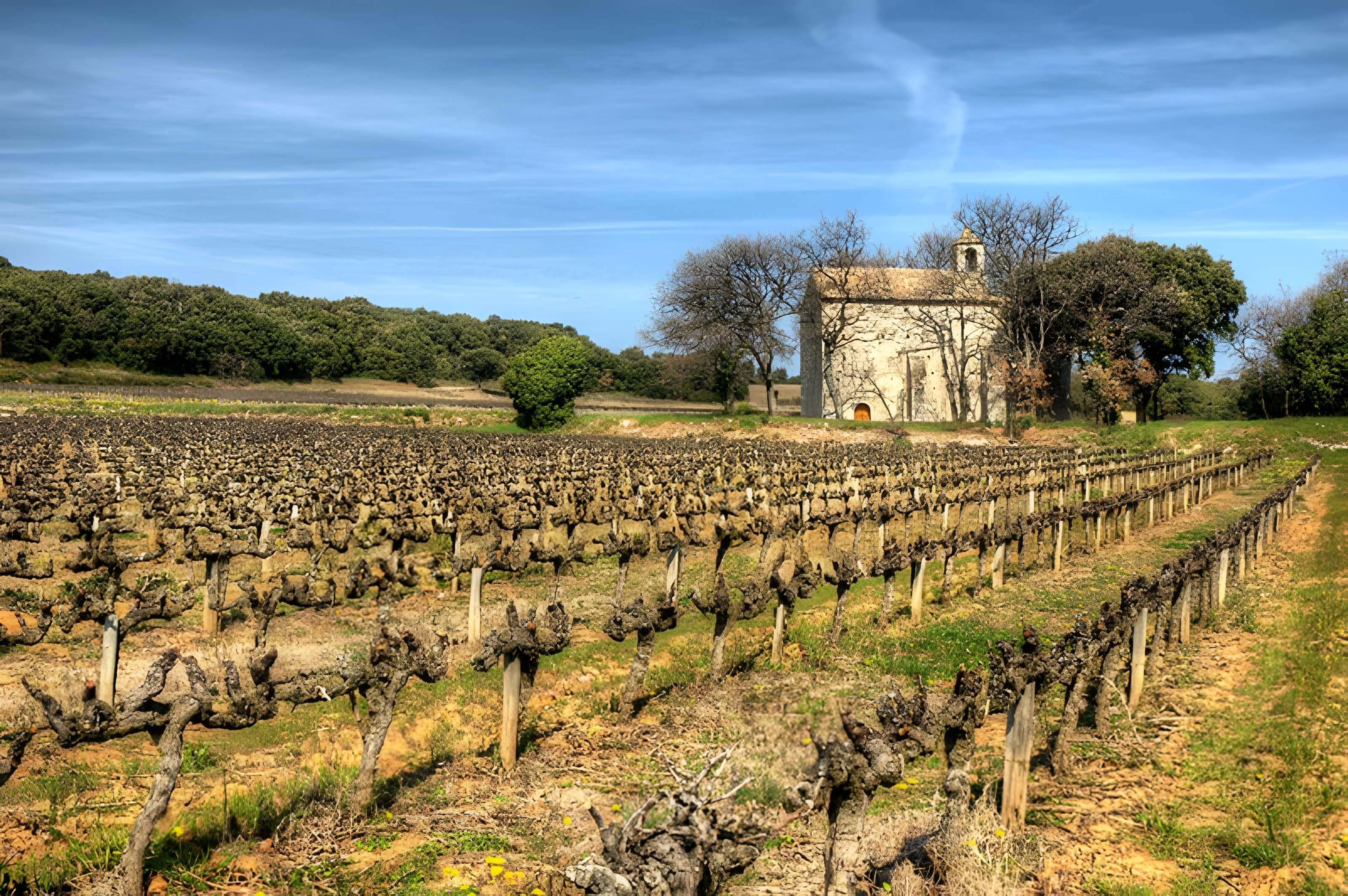 Chapelle Saint-Sulpice de Saint-Marcel-d'Ardèche 