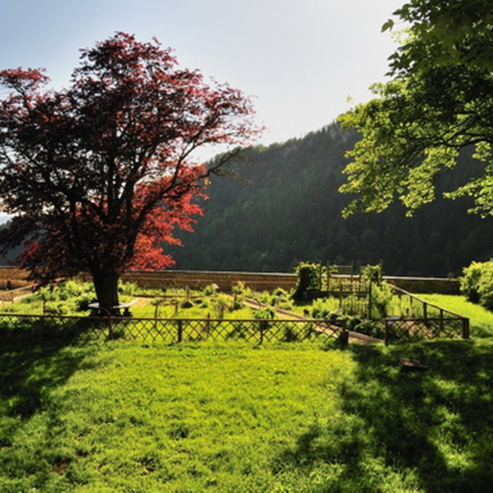 Photo de Chartreuse dArvières