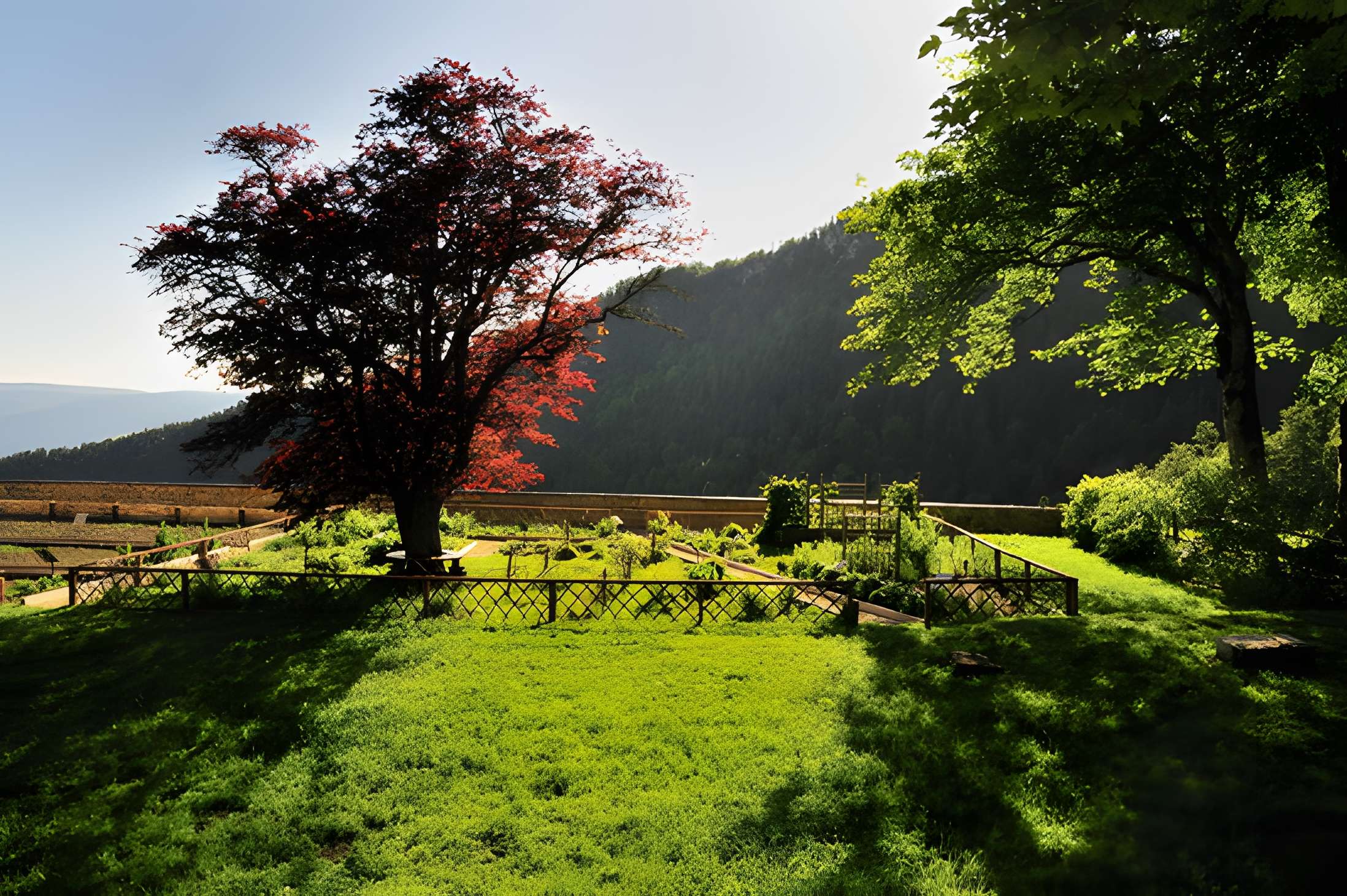 Chartreuse d'Arvières