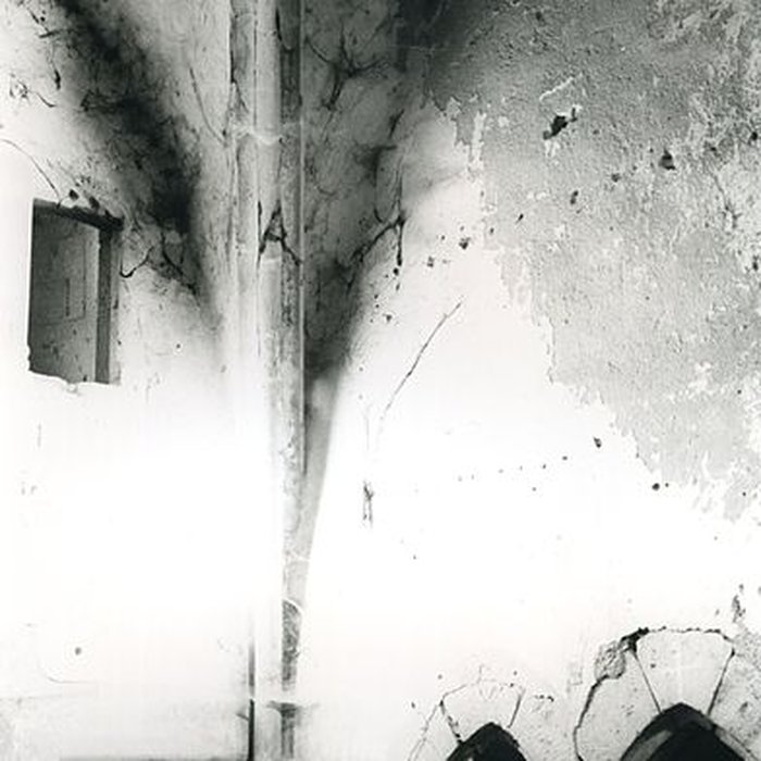 Photo de Chartreuse de Bellary