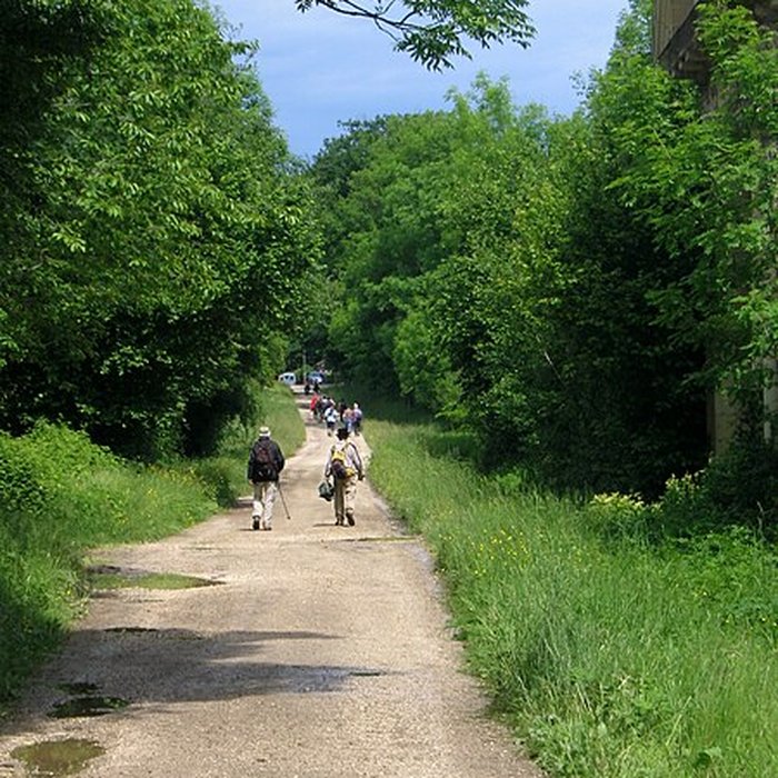 Photo de Chartreuse de Bellary