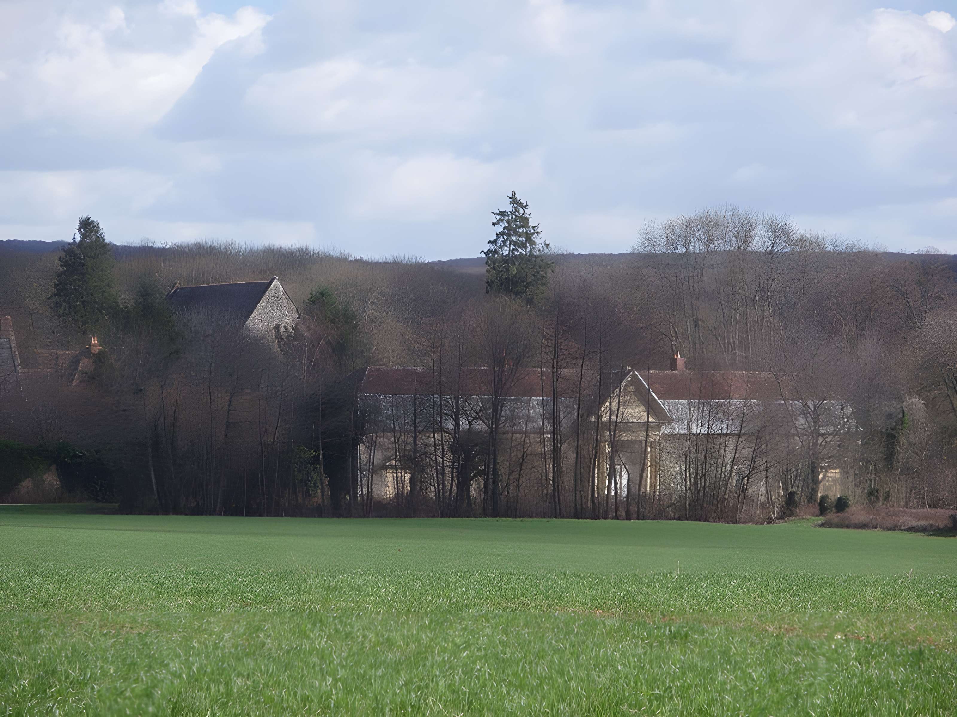 Chartreuse de Bellary 