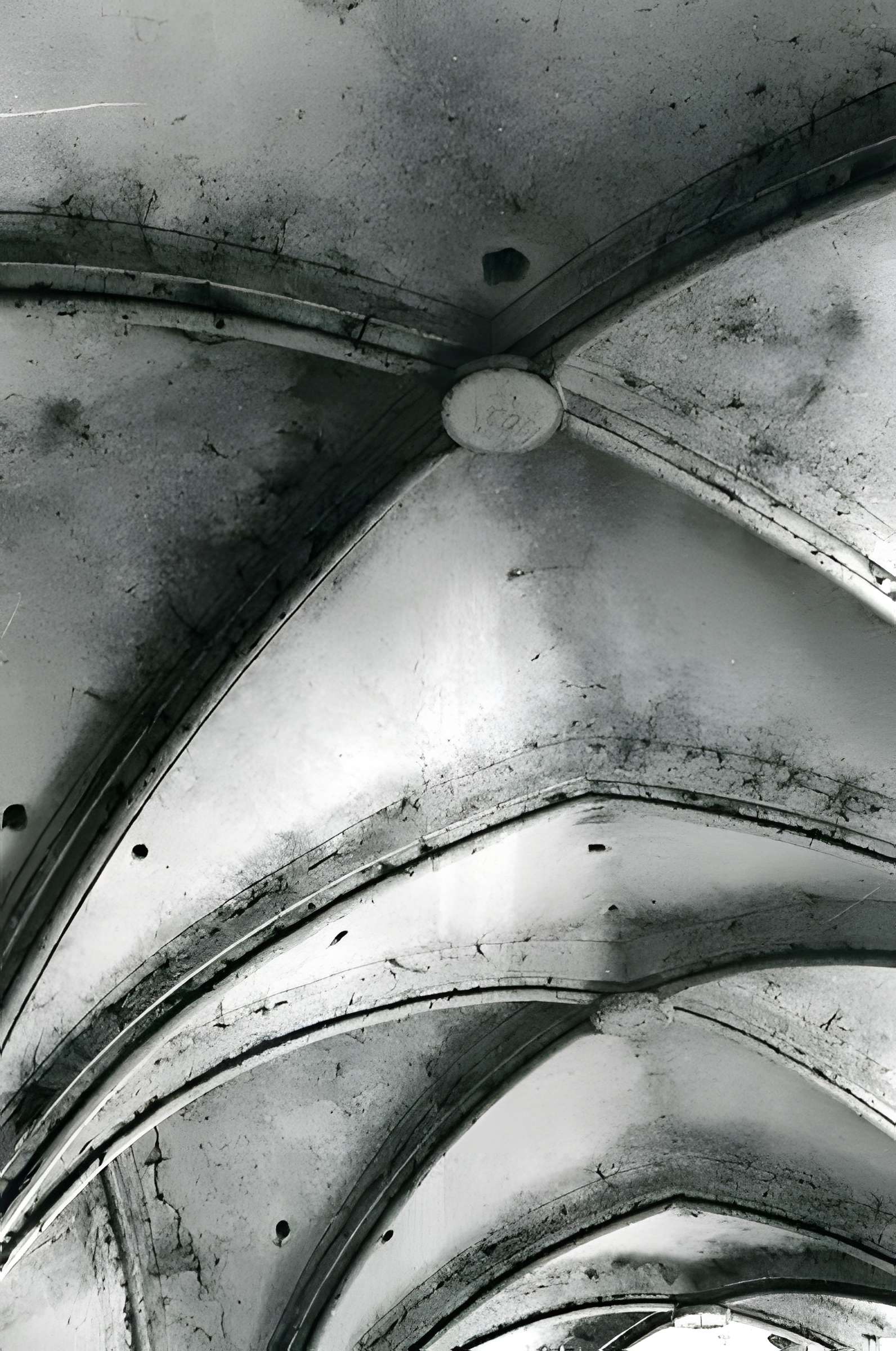 Chartreuse de Bellary