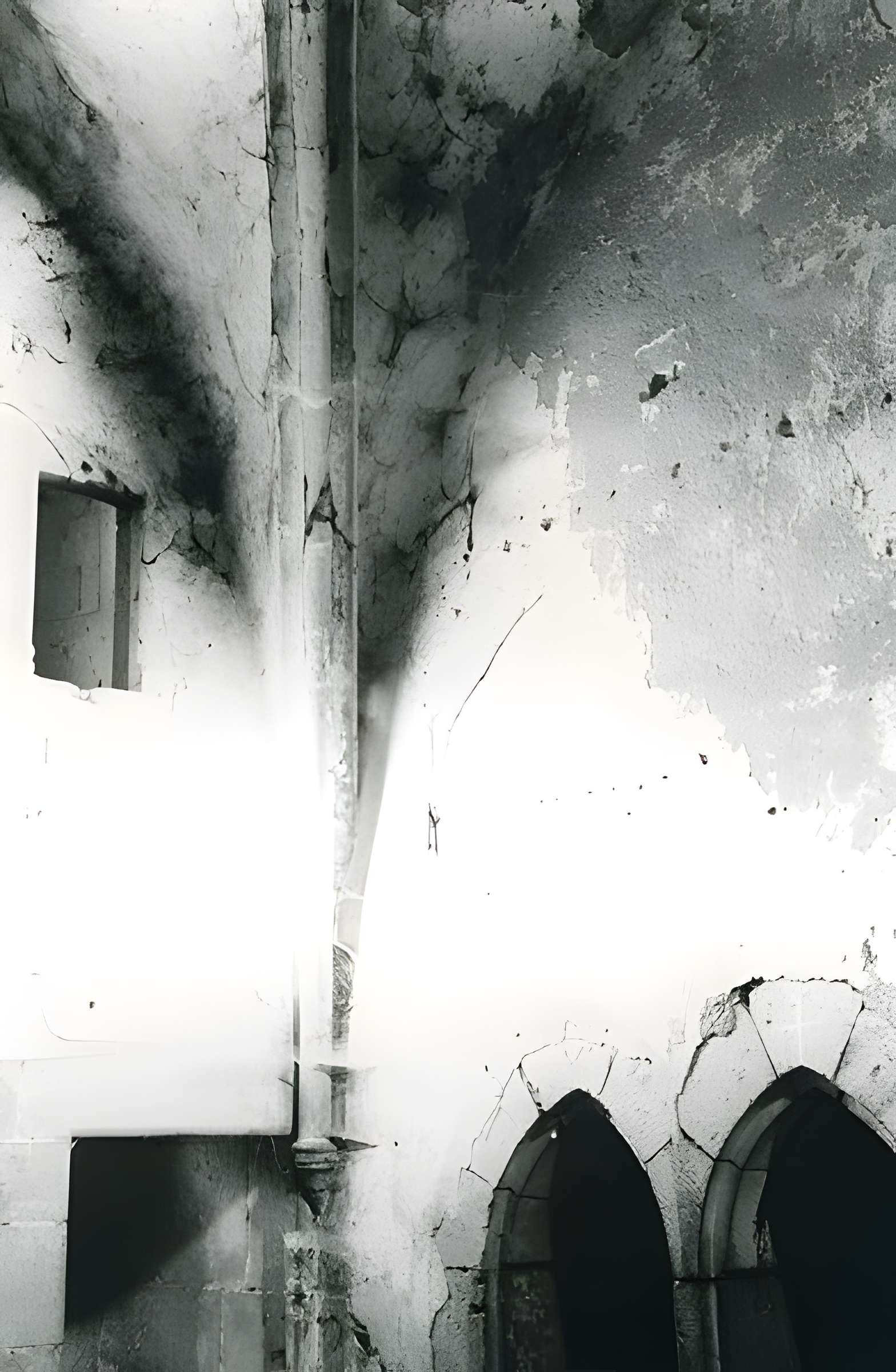 Chartreuse de Bellary