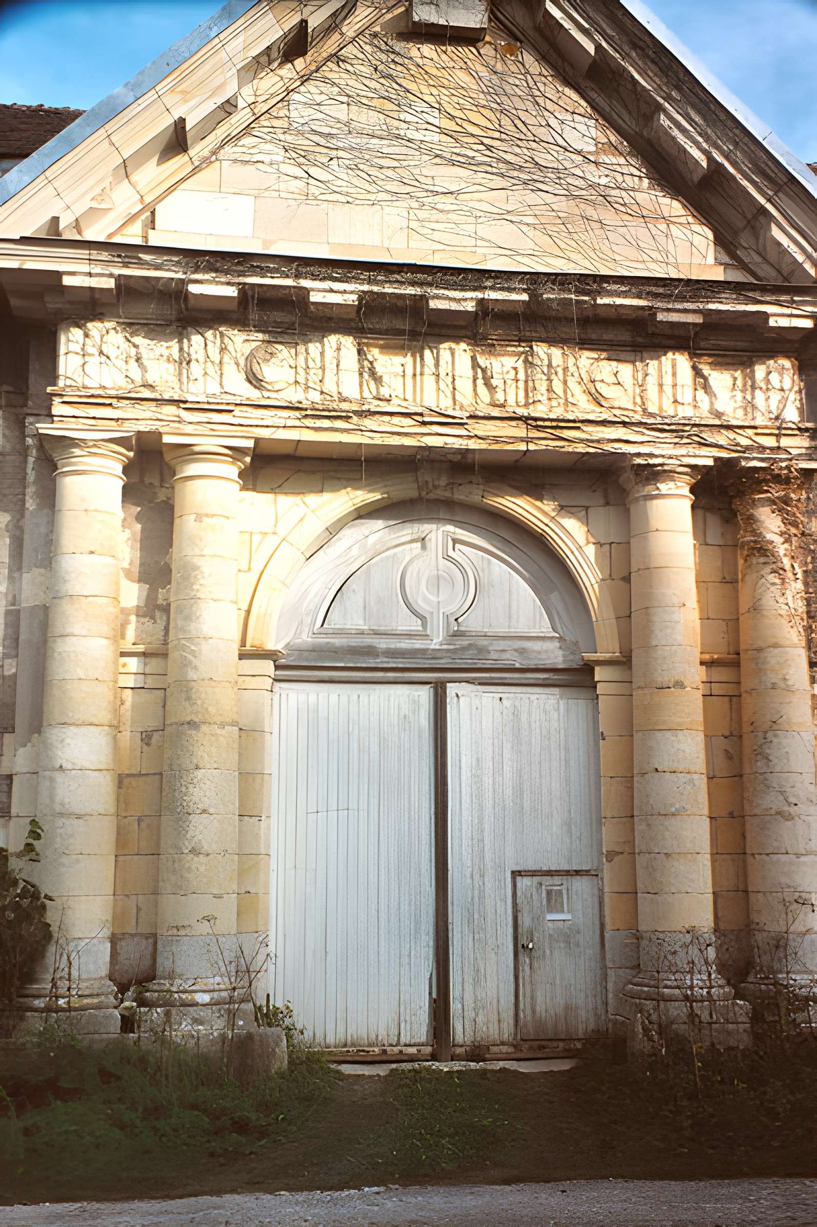 Chartreuse de Bellary