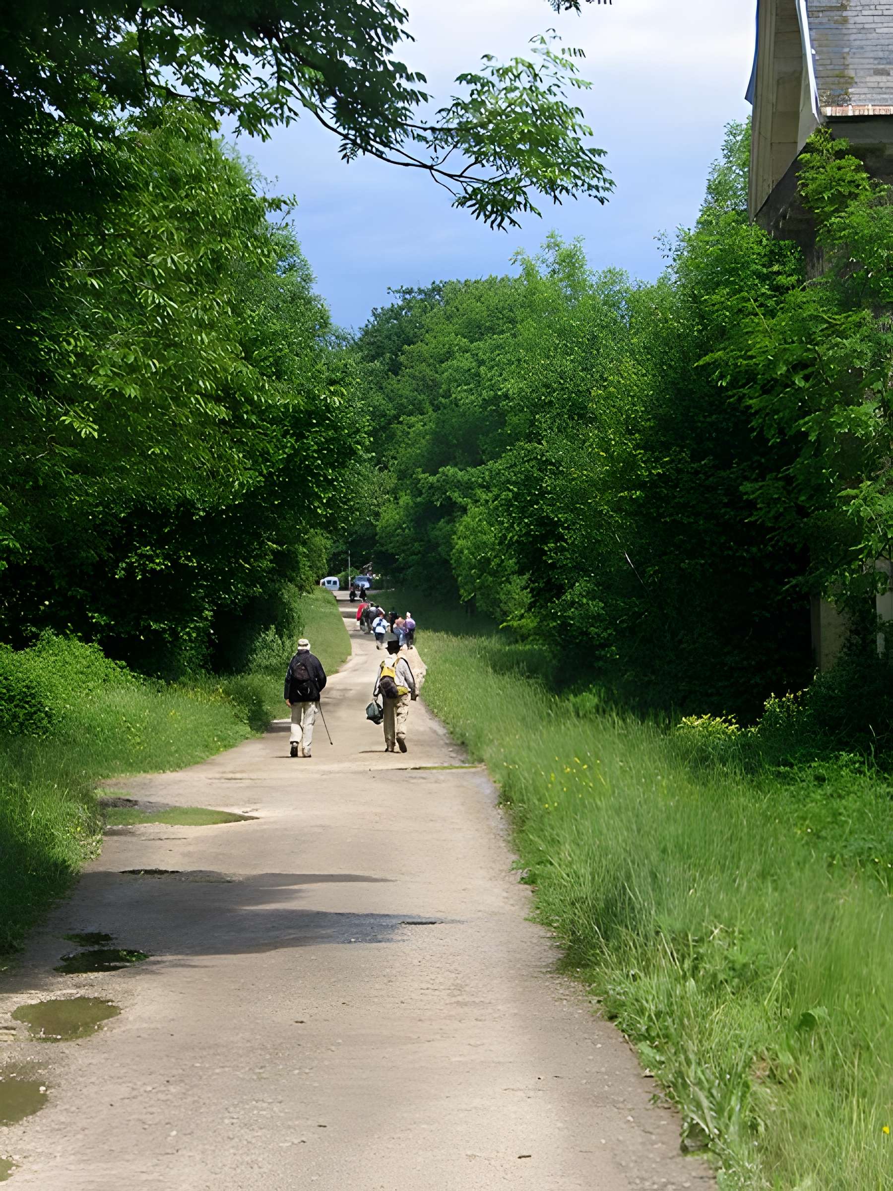 Chartreuse de Bellary
