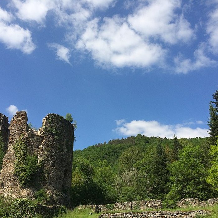 Photo de Chartreuse du Port-Sainte-Marie également sur commune de Chapdes-Beaufort