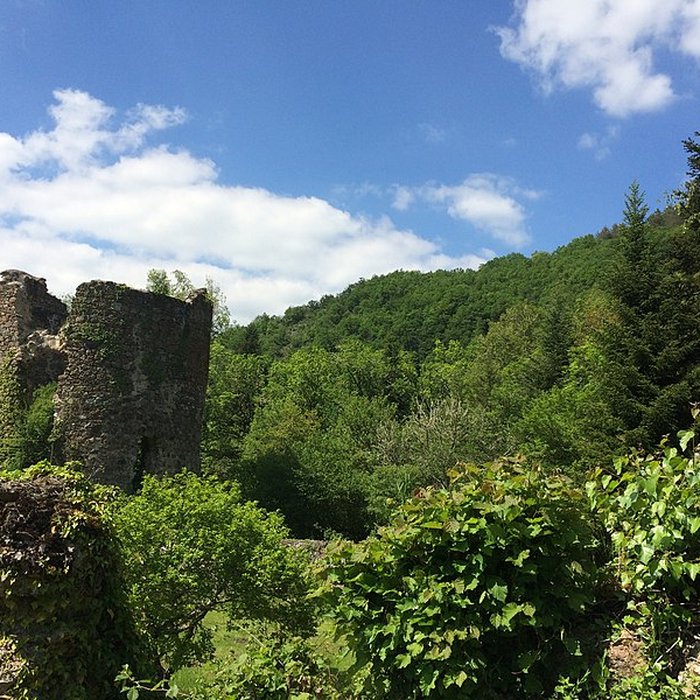 Photo de Chartreuse du Port-Sainte-Marie également sur commune de Chapdes-Beaufort