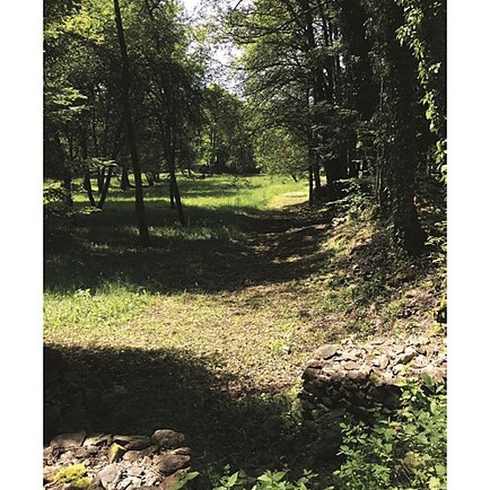 Photo de Chartreuse du Port-Sainte-Marie également sur commune de Chapdes-Beaufort