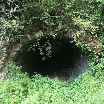 Chartreuse de Port-Sainte-Marie