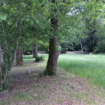 Chartreuse de Port-Sainte-Marie