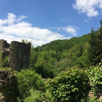 Chartreuse de Port-Sainte-Marie
