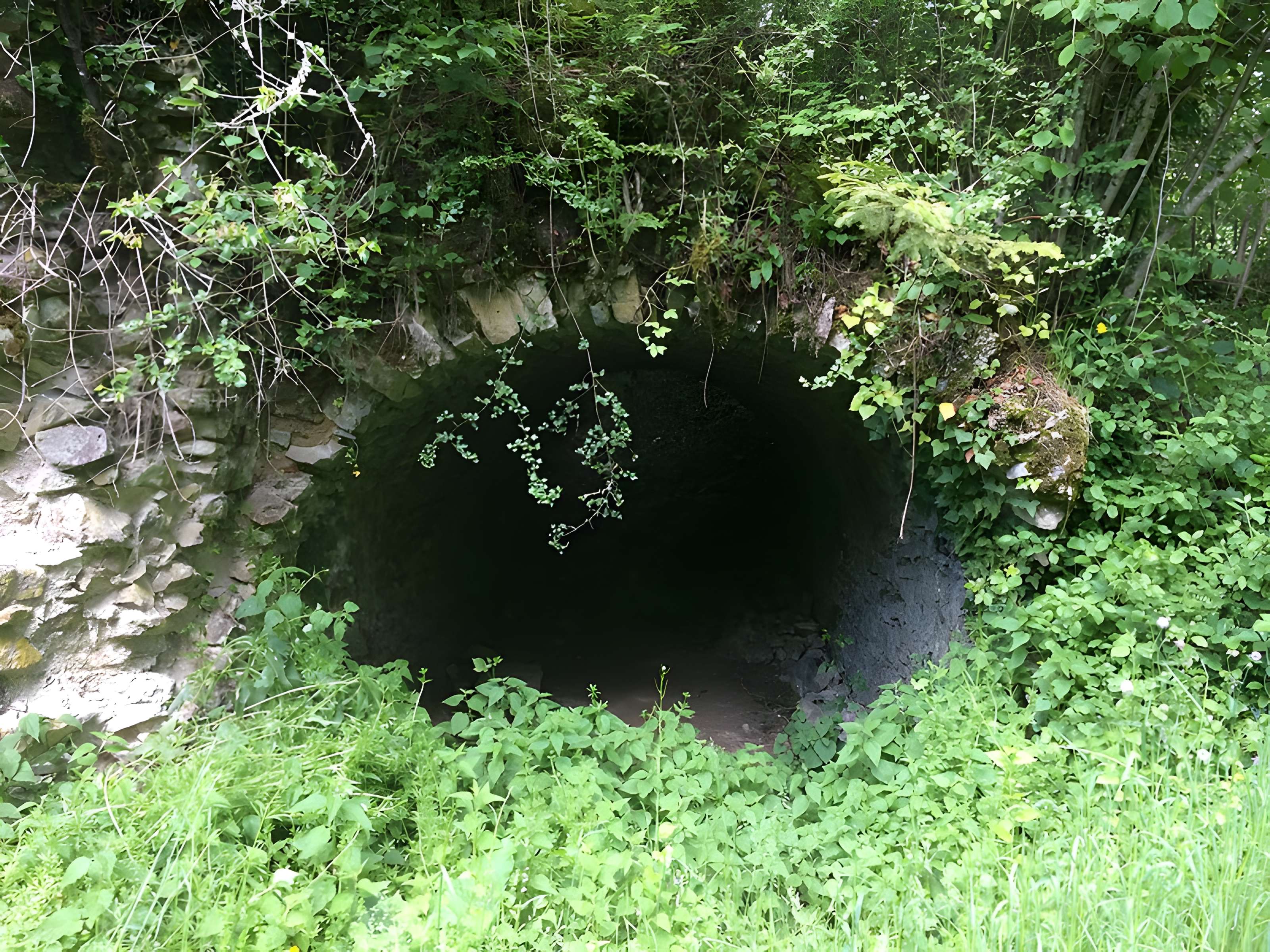 Chartreuse de Port-Sainte-Marie