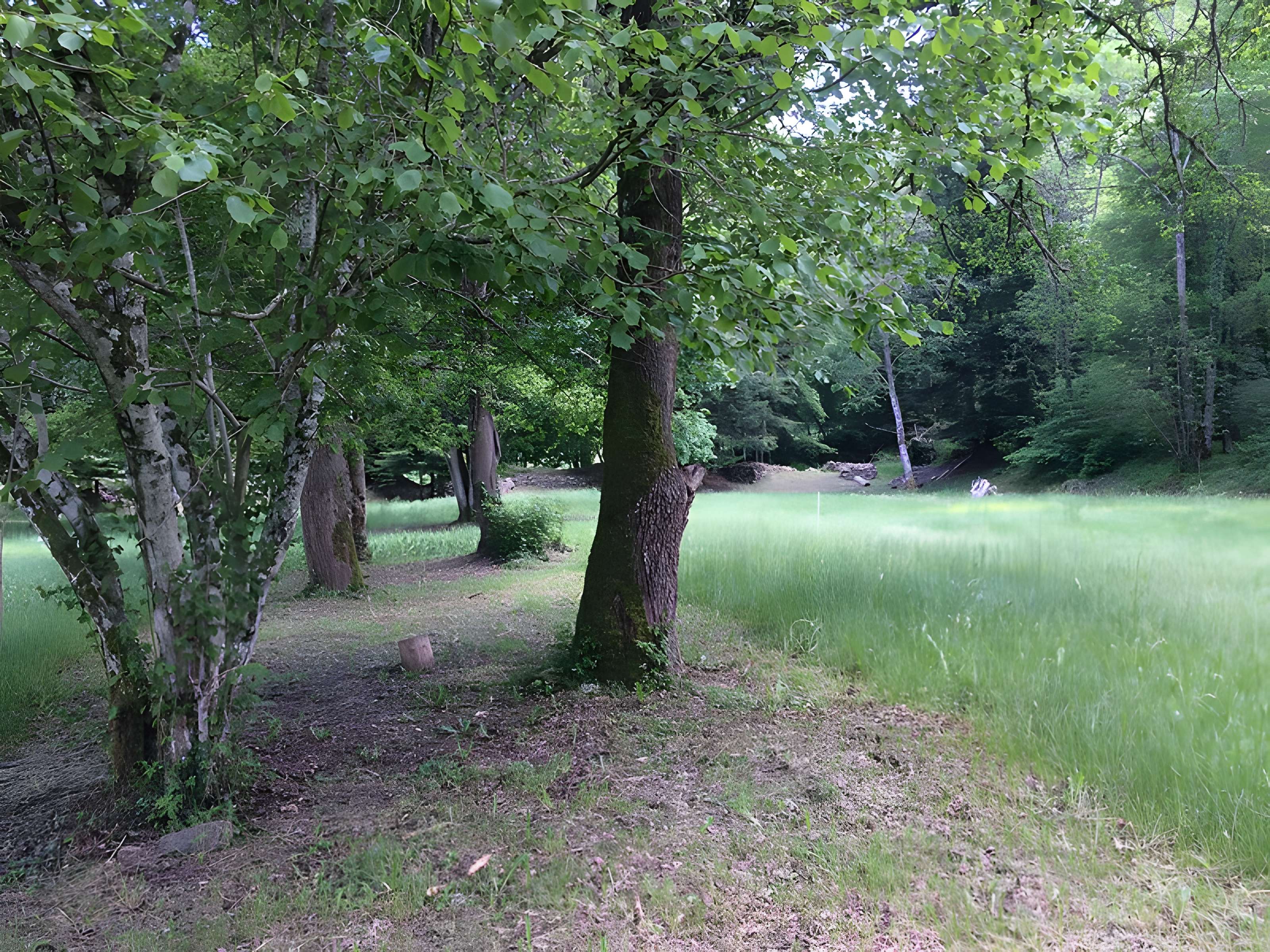 Chartreuse de Port-Sainte-Marie