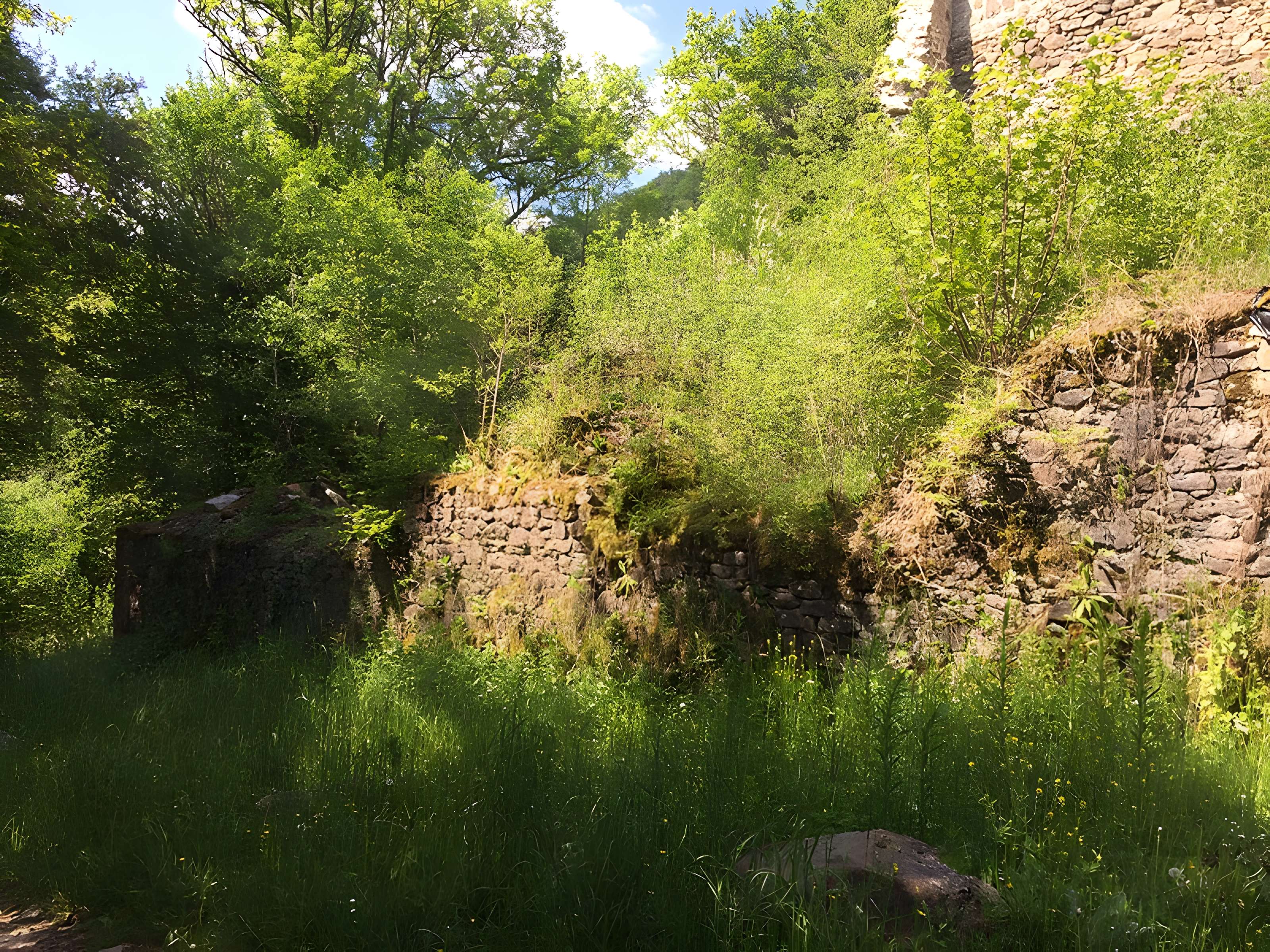 Chartreuse de Port-Sainte-Marie