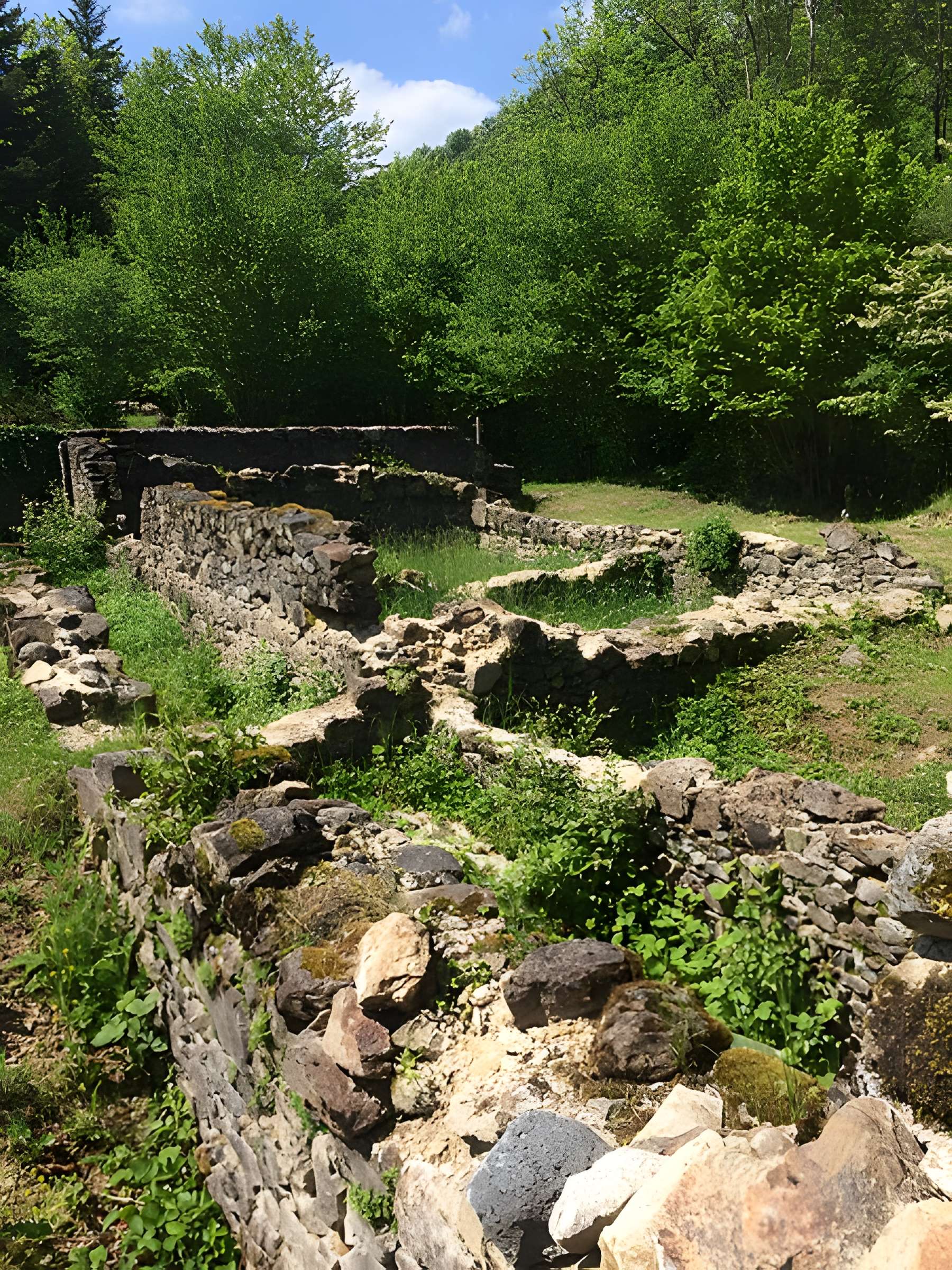 Chartreuse de Port-Sainte-Marie