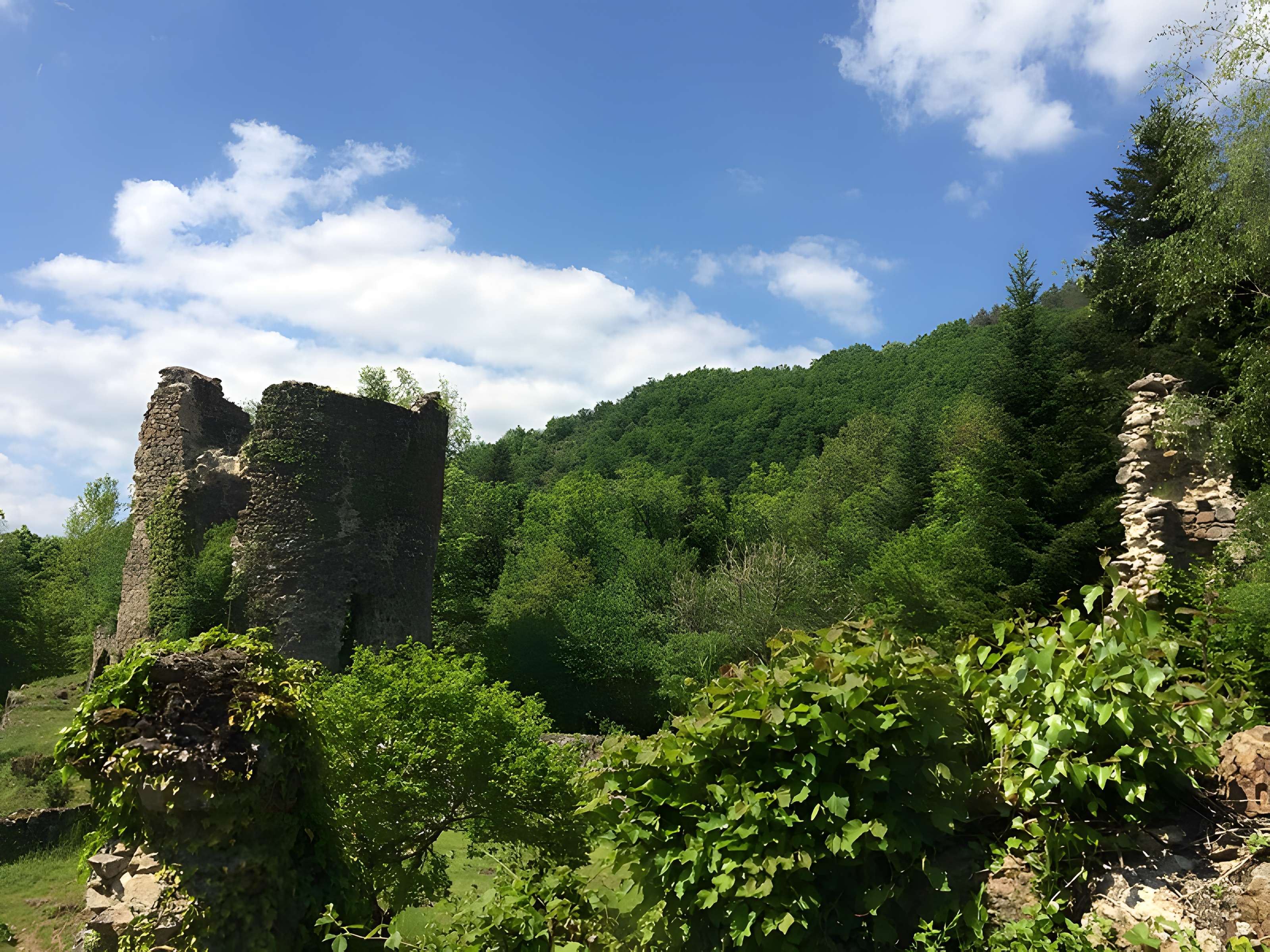 Chartreuse de Port-Sainte-Marie