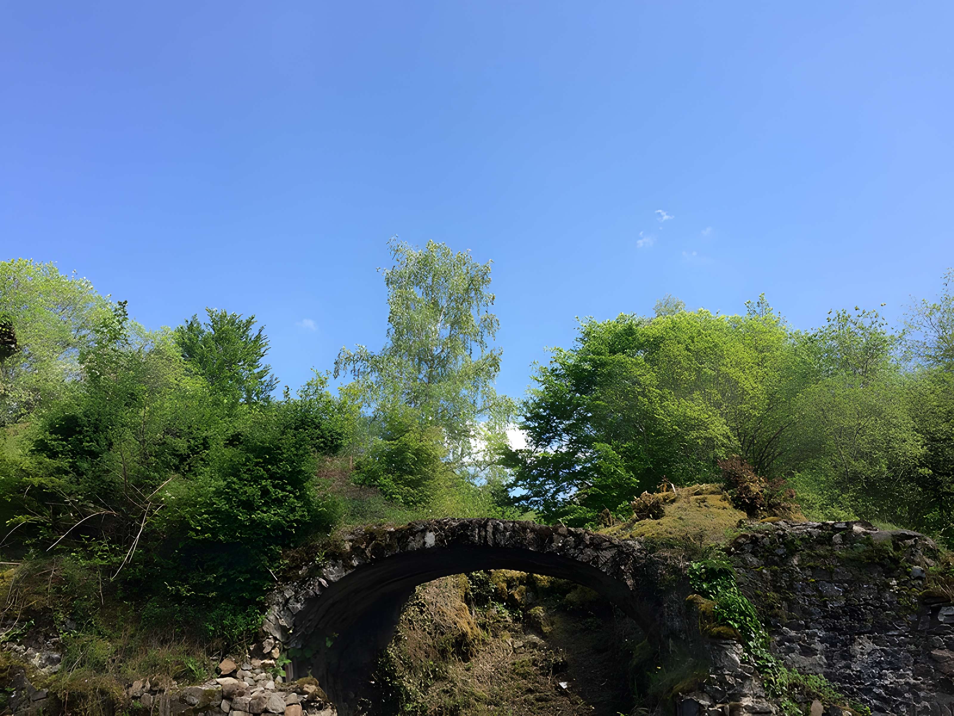 Chartreuse de Port-Sainte-Marie