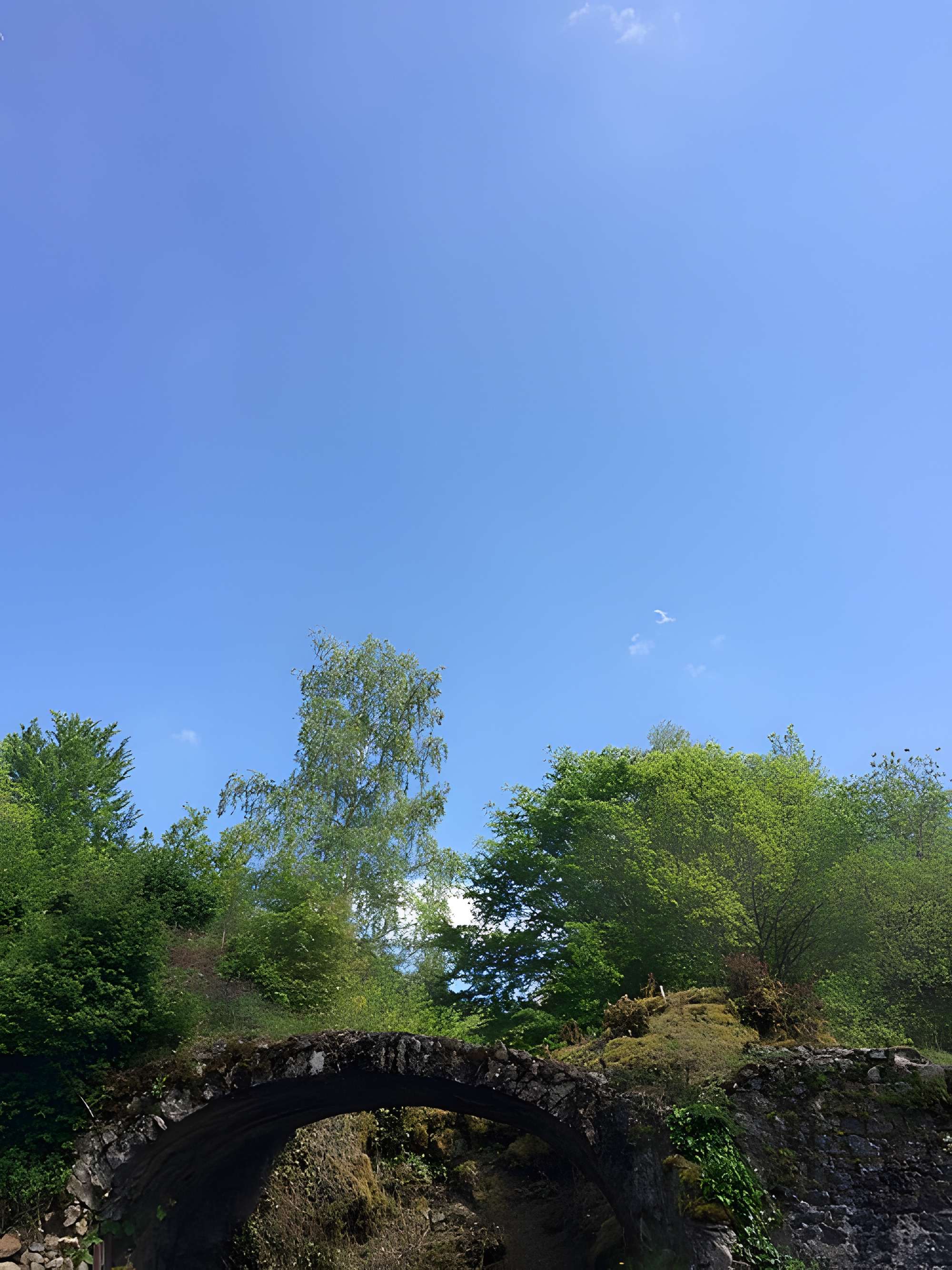 Chartreuse de Port-Sainte-Marie