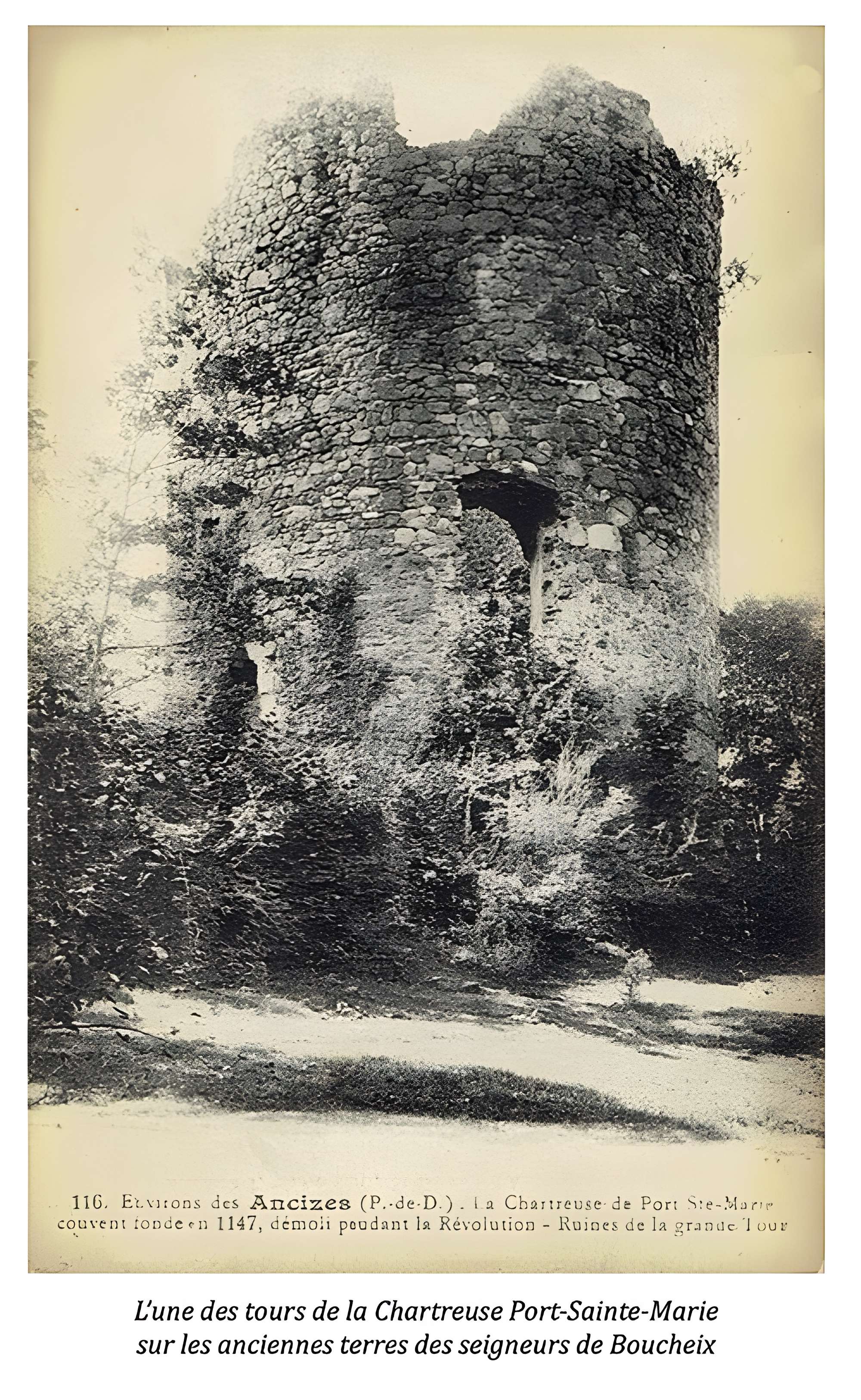 Chartreuse de Port-Sainte-Marie