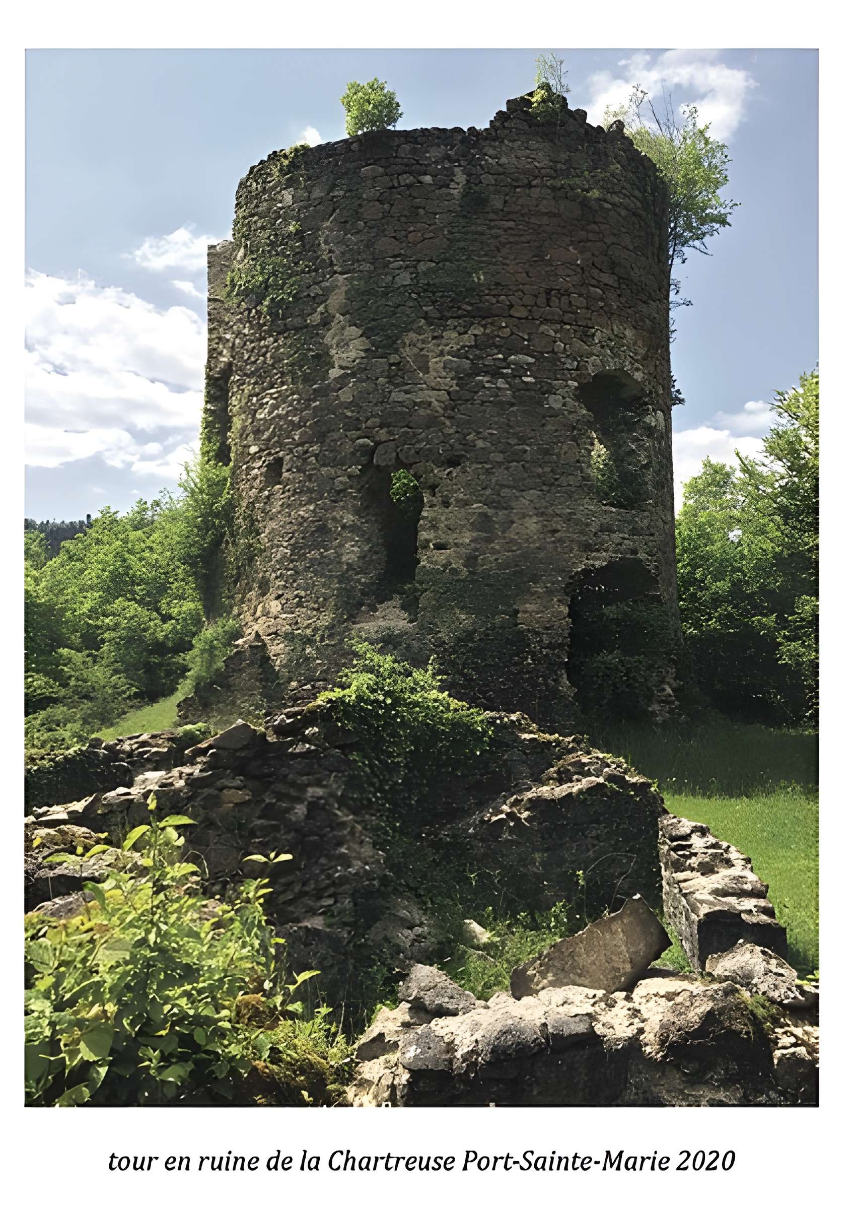 Chartreuse de Port-Sainte-Marie
