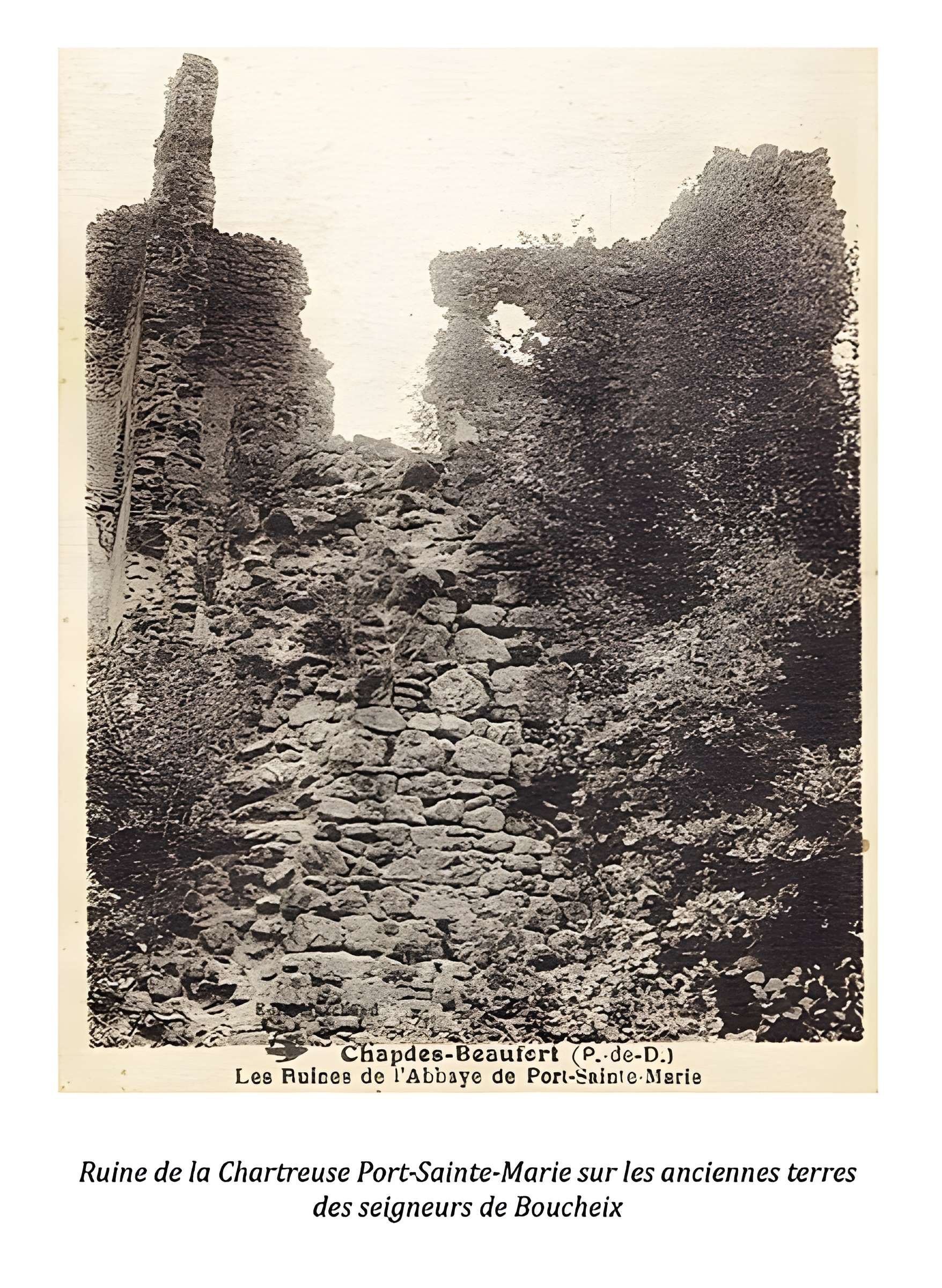 Chartreuse de Port-Sainte-Marie