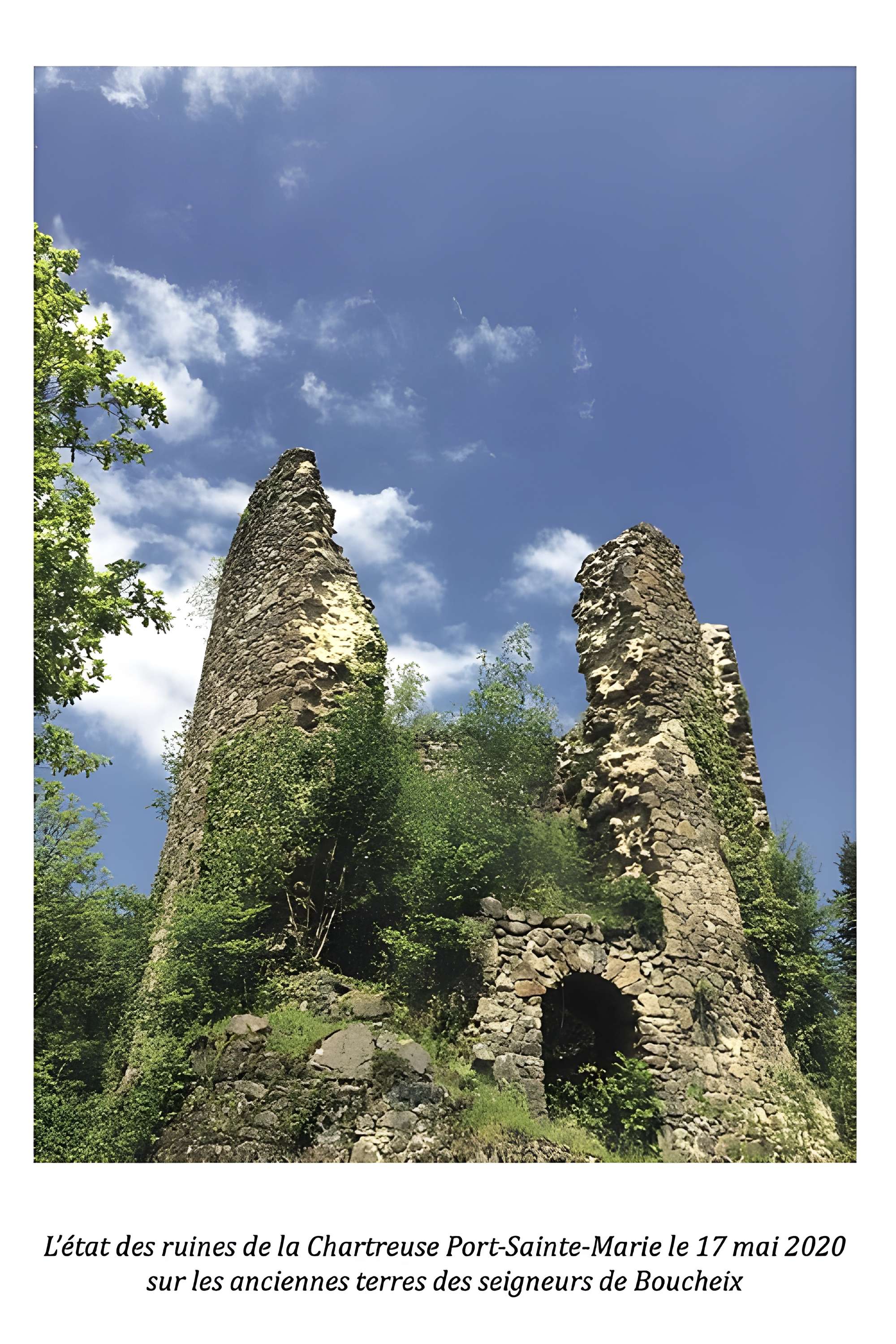 Chartreuse de Port-Sainte-Marie