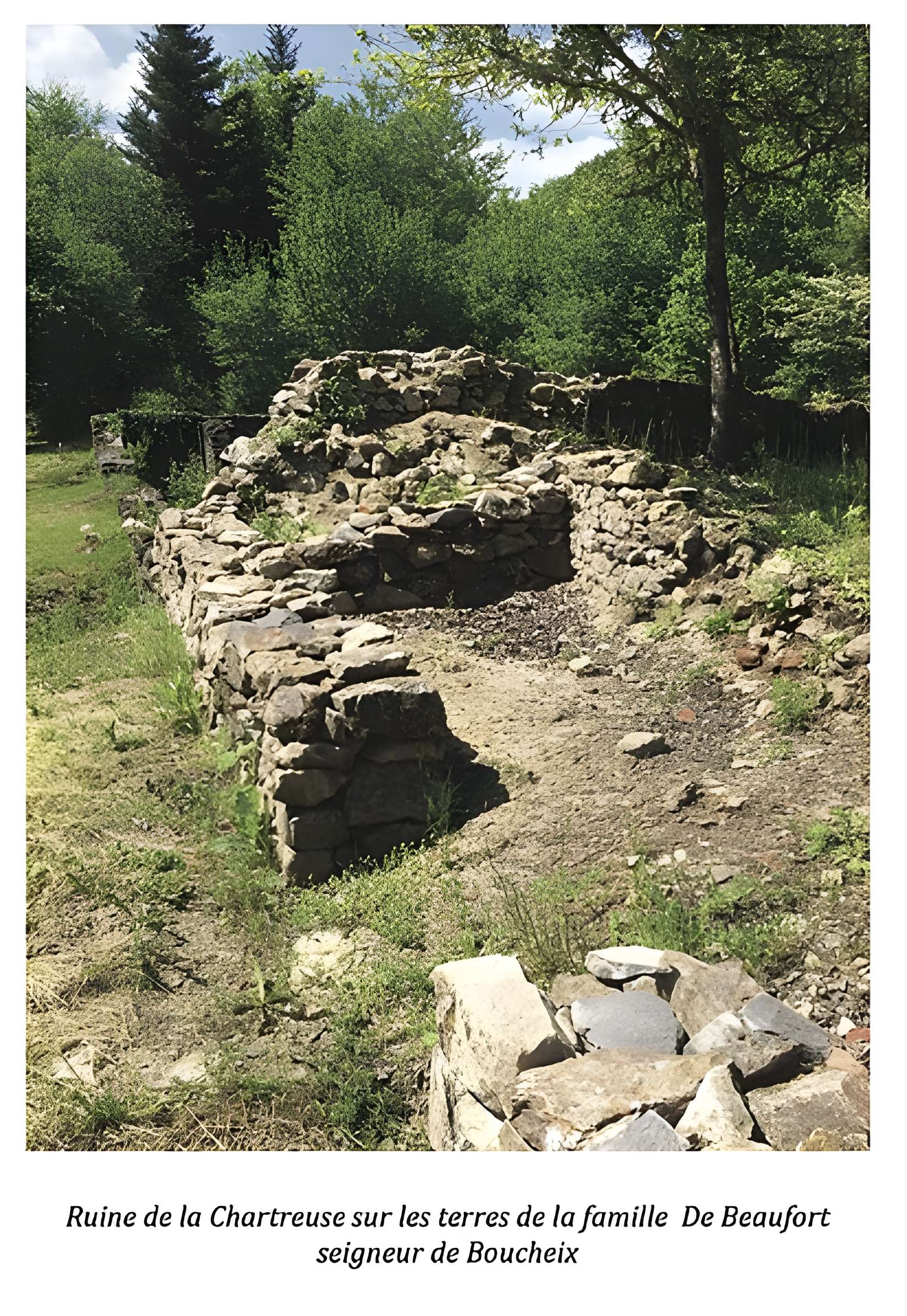 Chartreuse de Port-Sainte-Marie