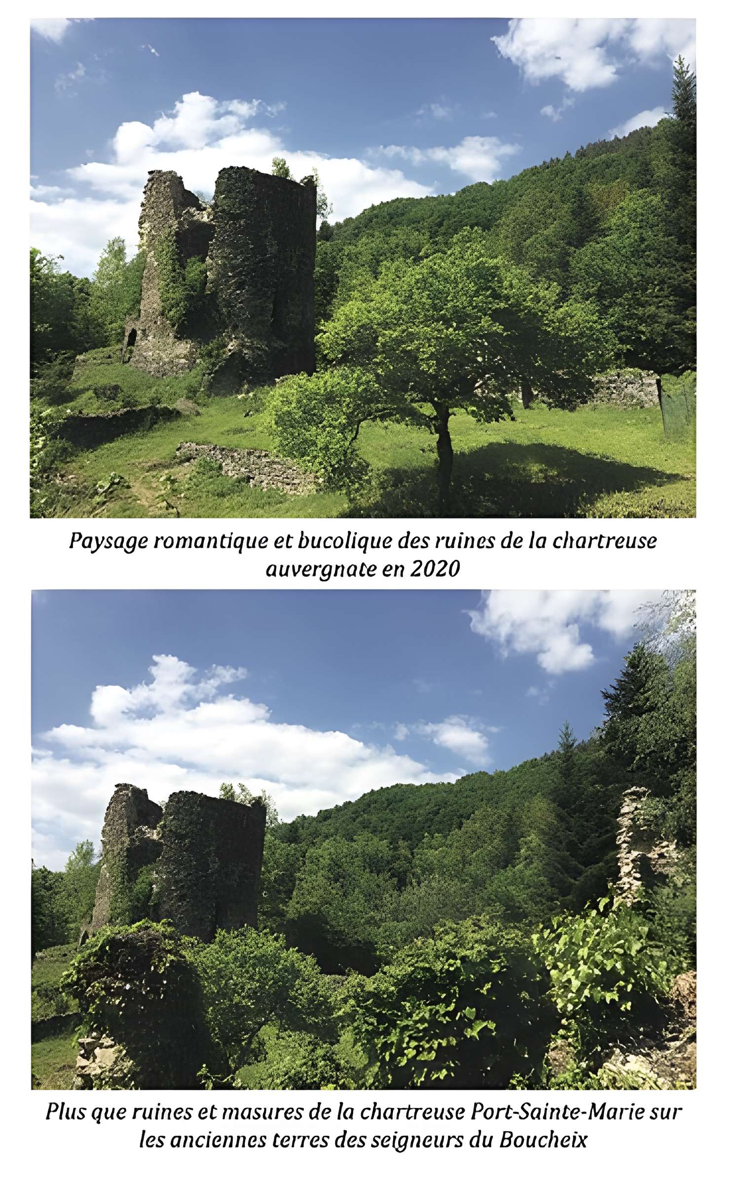 Chartreuse de Port-Sainte-Marie
