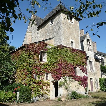 Château Bosset