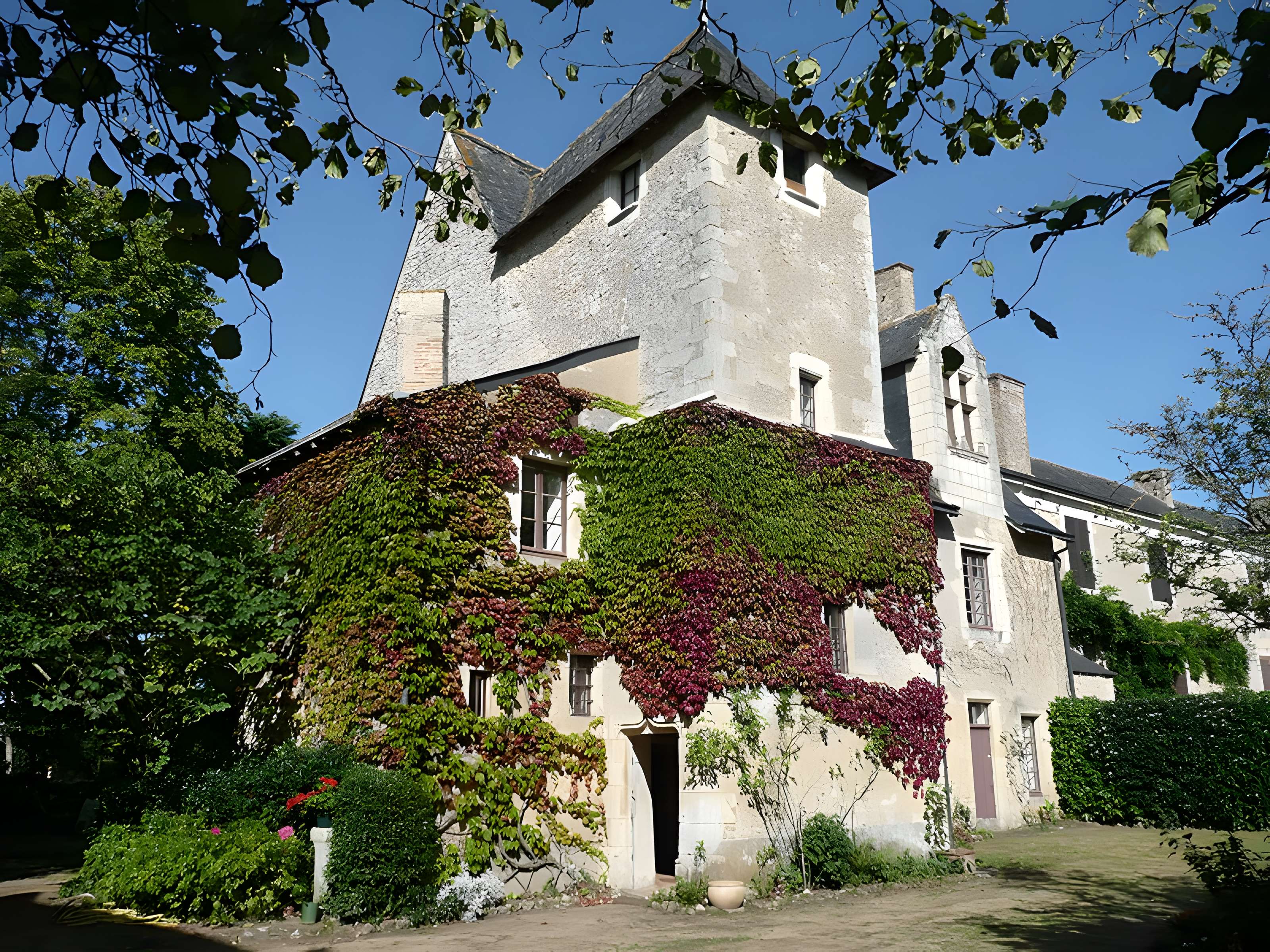 Château Bosset