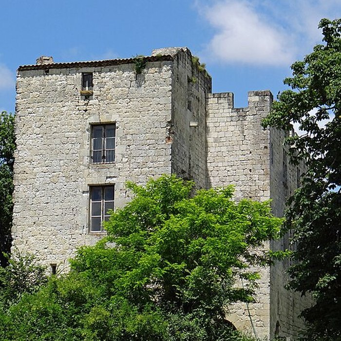 Photo de Château dEscalup