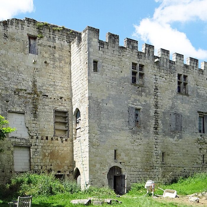 Photo de Château dEscalup