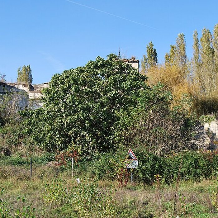 Photo de Château dAnglade 